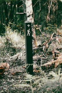 A wooded area with a hiking trail signpost, featuring a symbol of a person with a backpack and walking stick. The sign is surrounded by dense foliage and underbrush, with fallen branches and trees visible in the background.