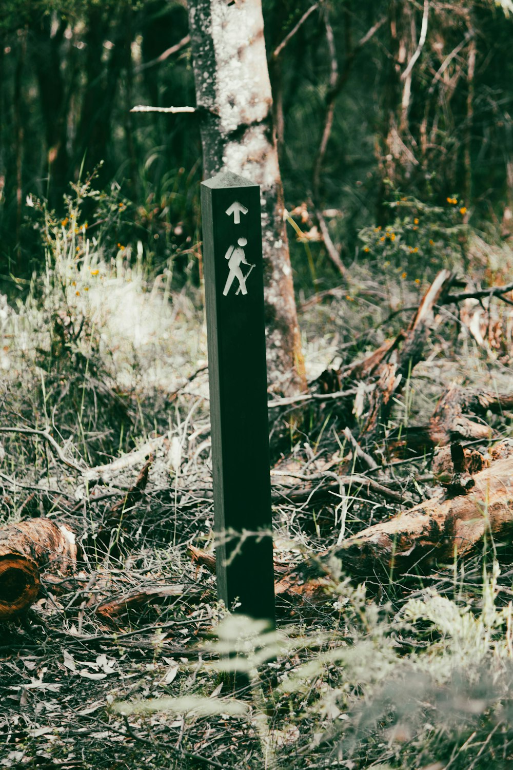 a sign in the middle of a forest