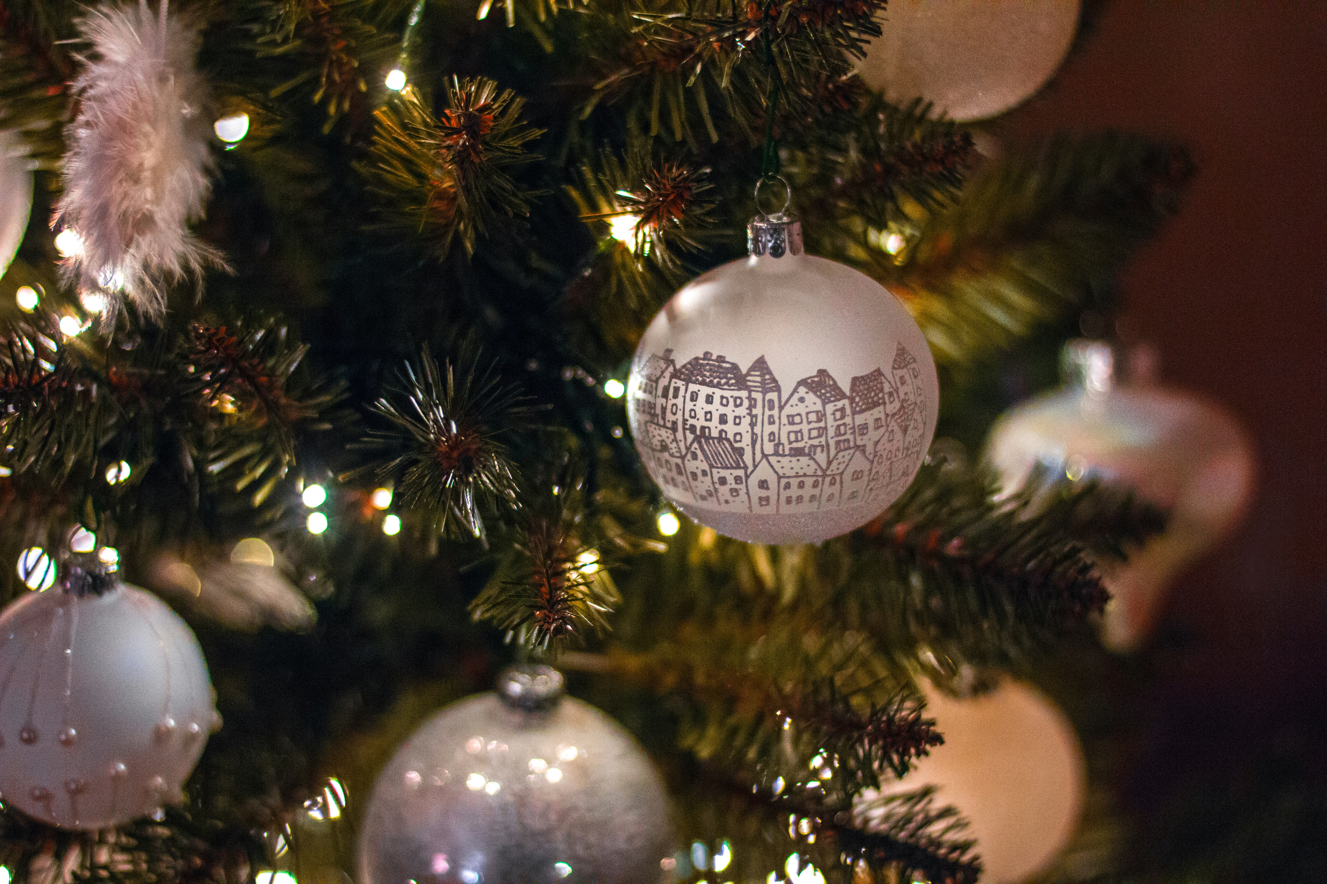 Photo by venczakjanos