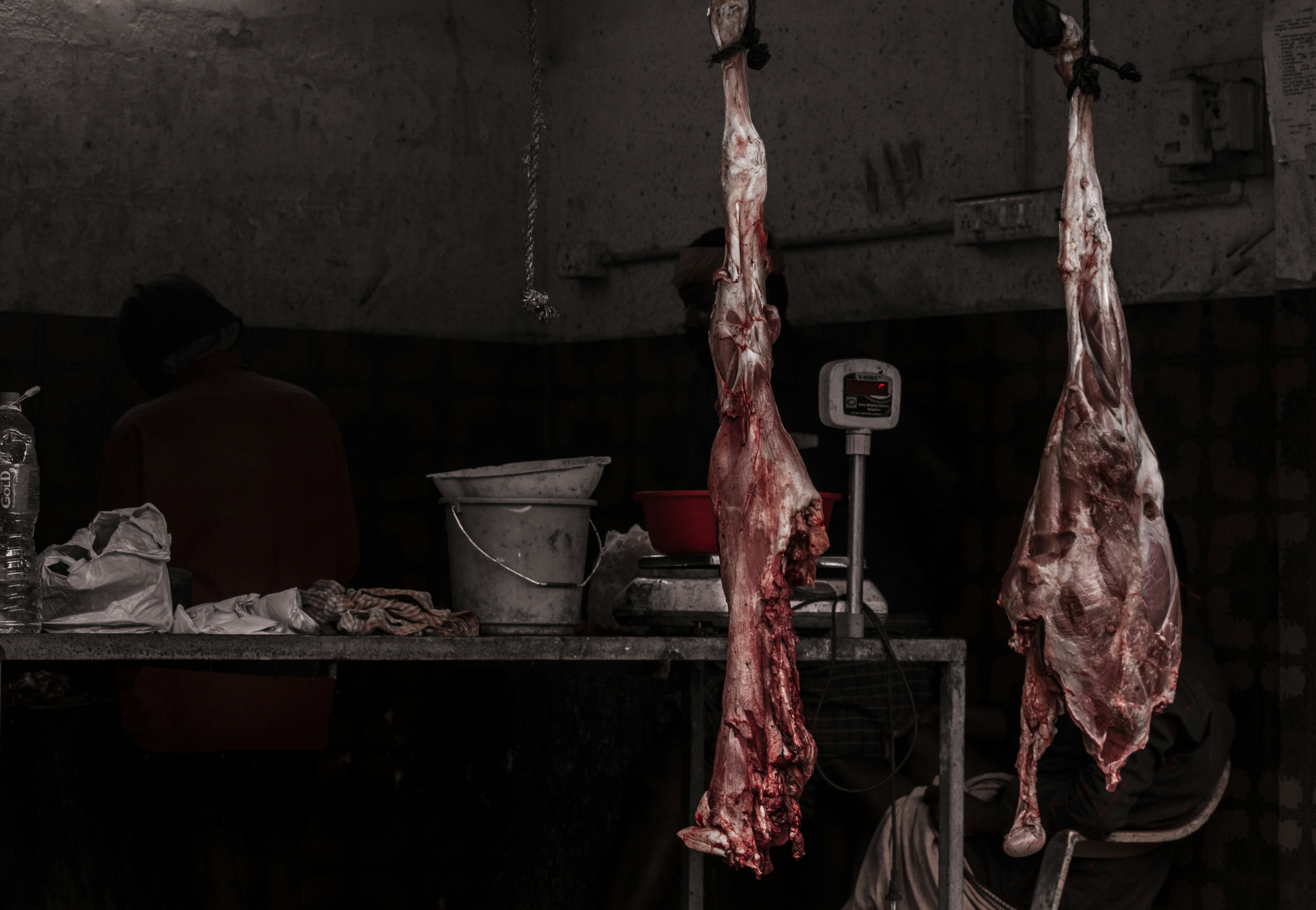 Wysmyk Jakub. Hodowla drobiu. Kurczak brojler, jaja wylęgowe, reprodukcja