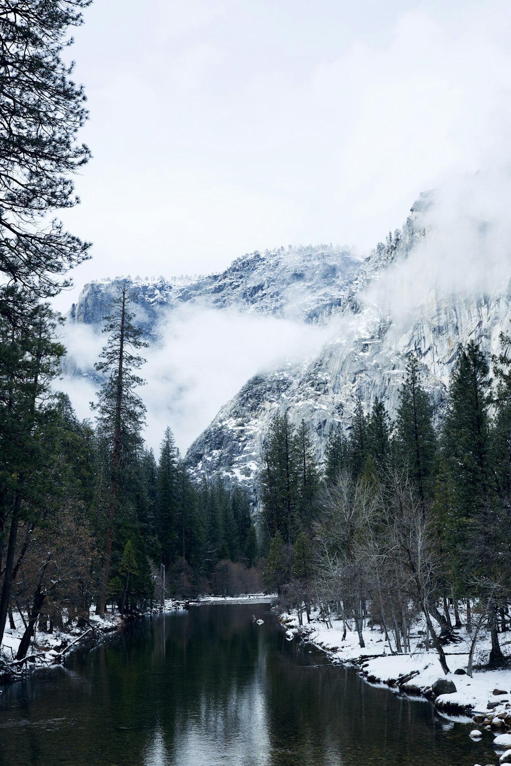 a river running through a forest covered in snow