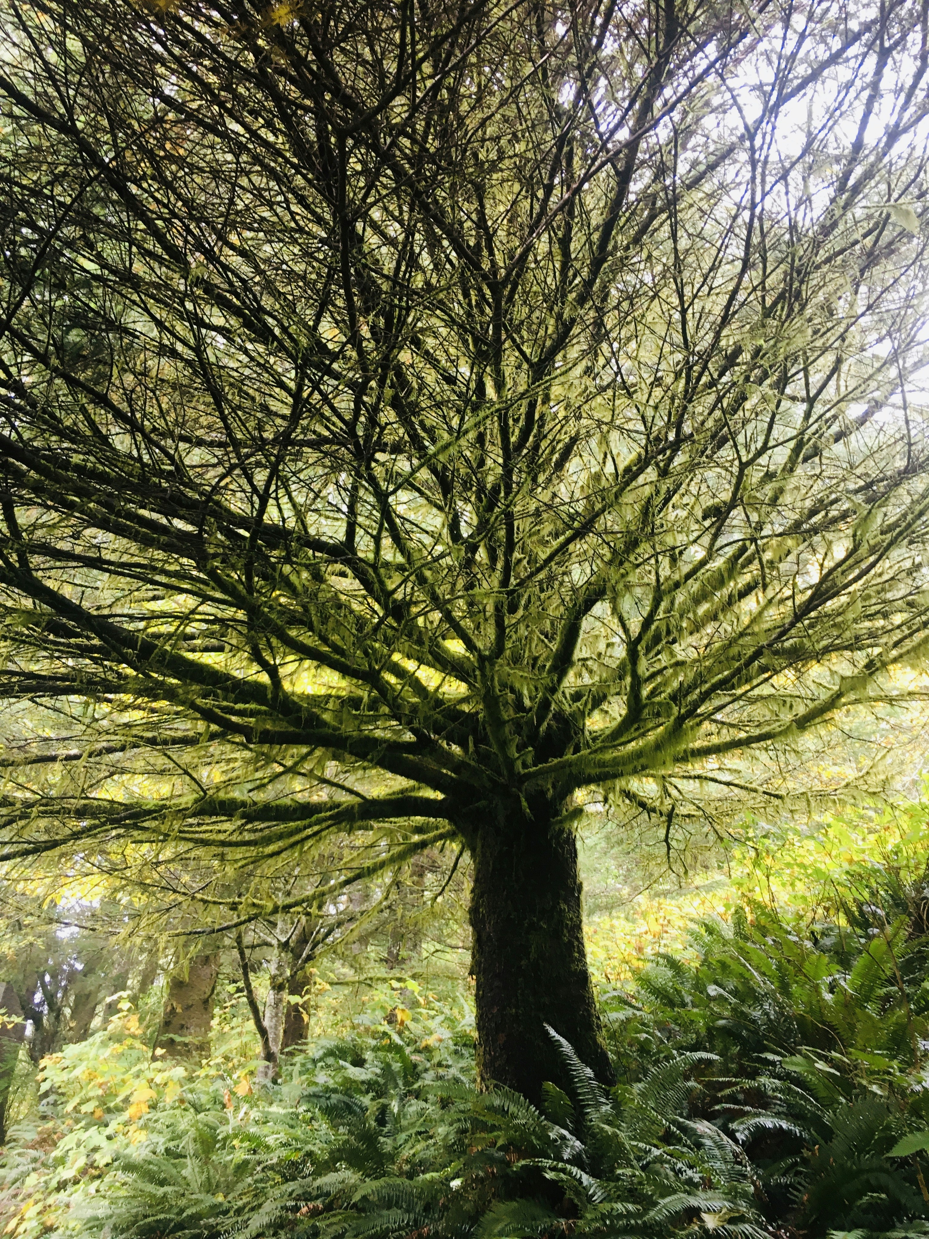 Photo by rwandan_prince