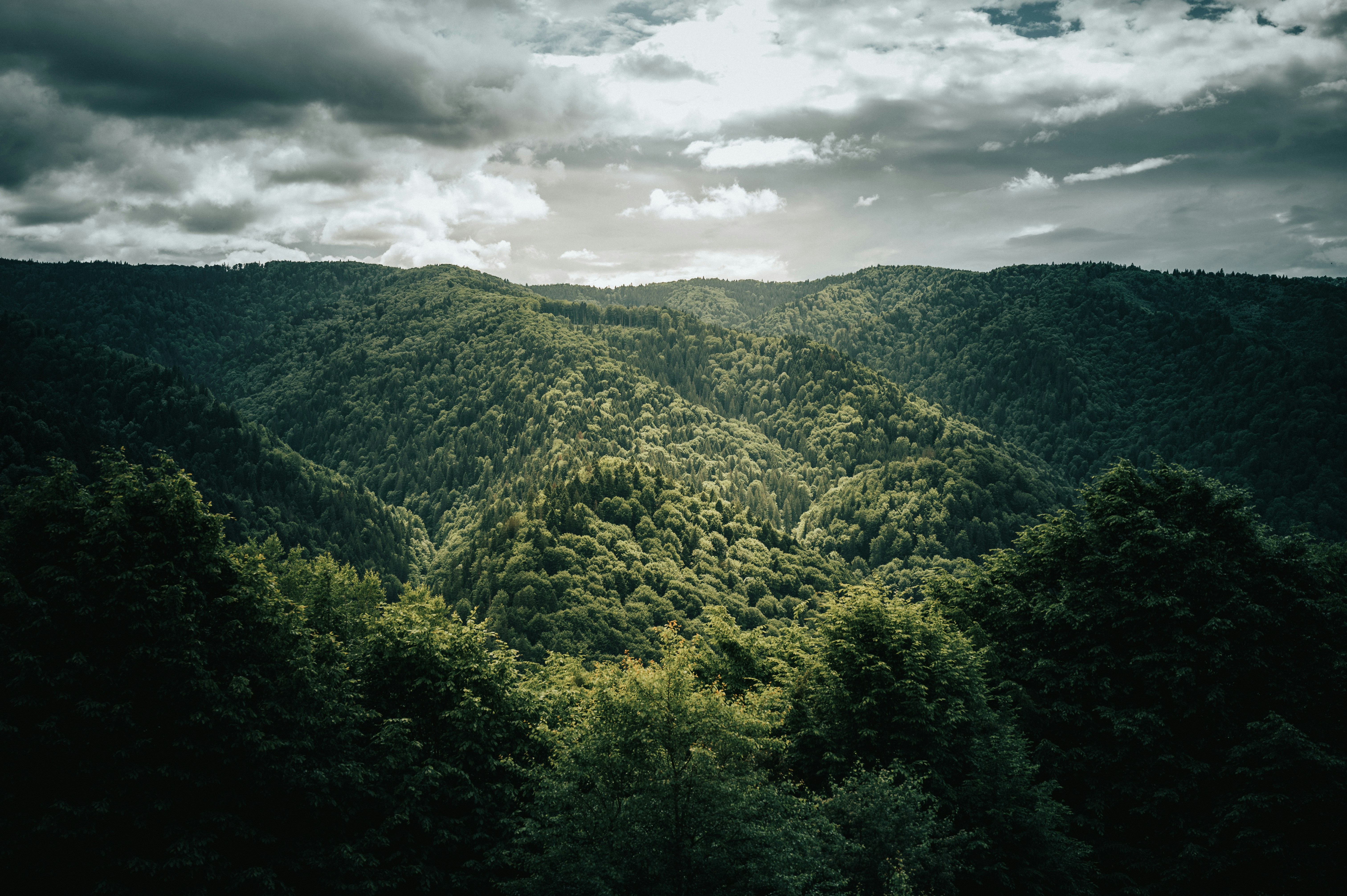 Photo by tamas_tuzeskatai