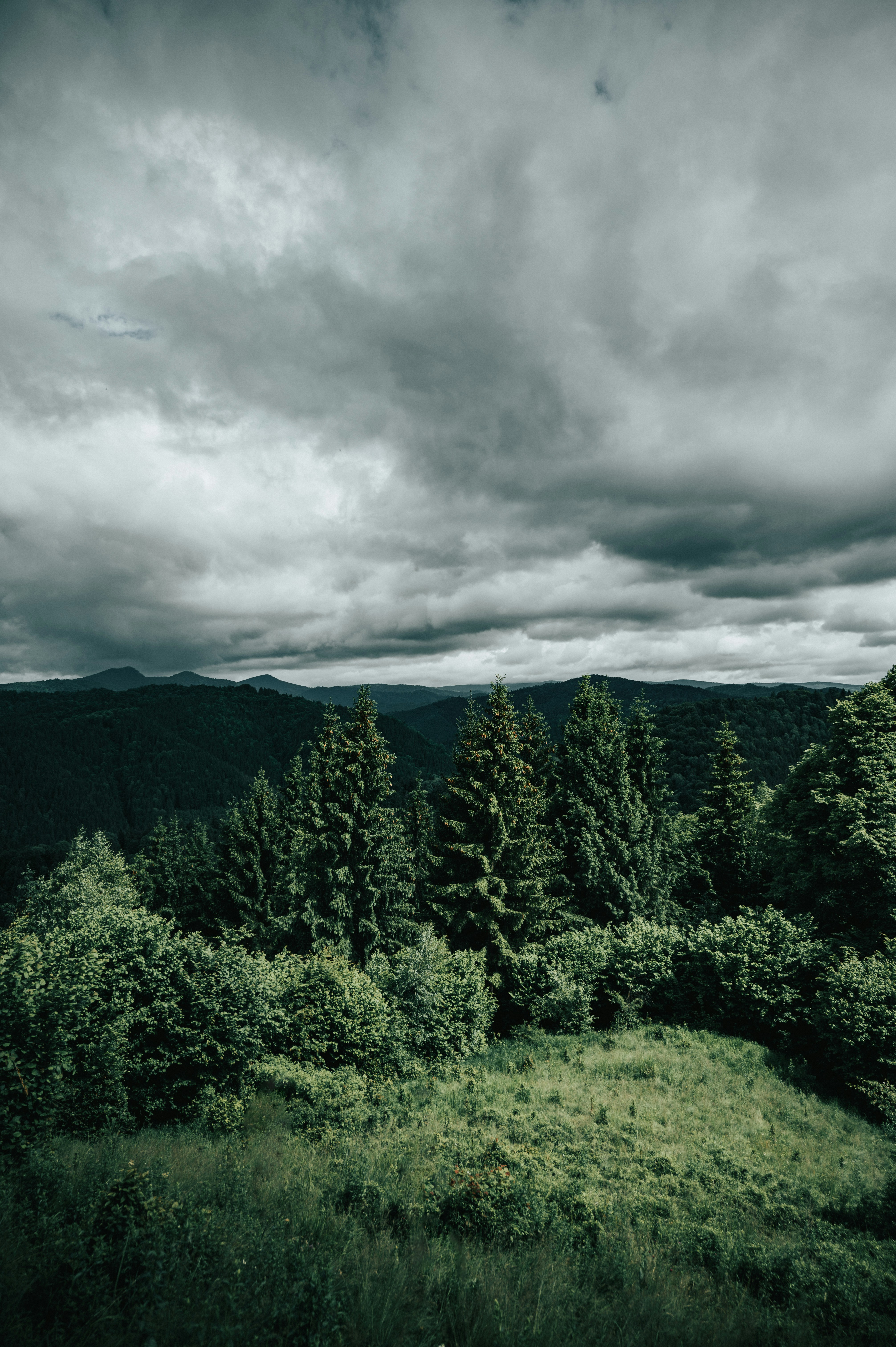 Photo by tamas_tuzeskatai