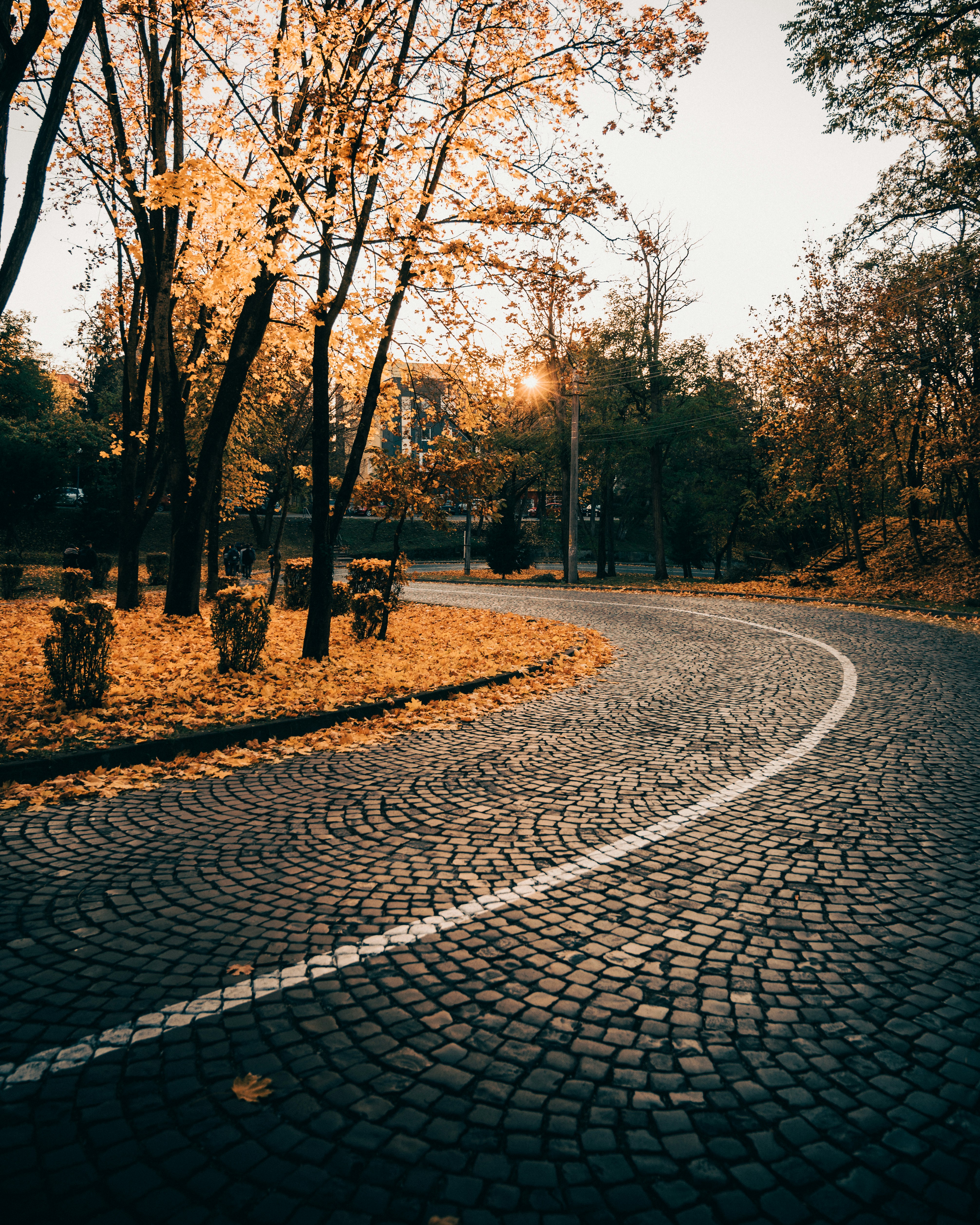 Photo by tamas_tuzeskatai