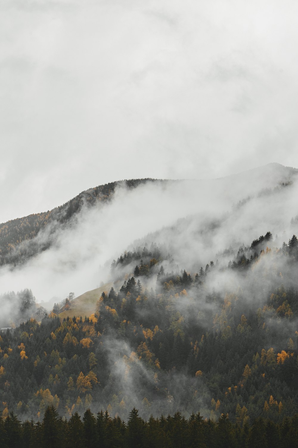 a mountain covered in fog with trees in the foreground