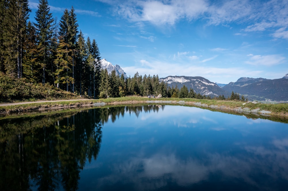 a body of water surrounded by a forest