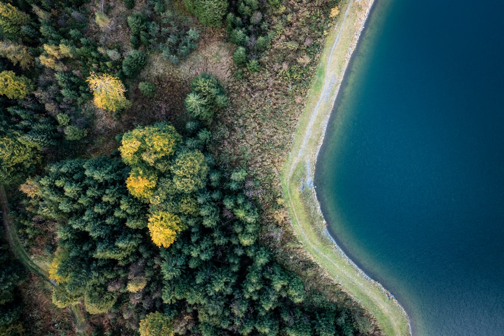 an aerial view of a lake surrounded by trees