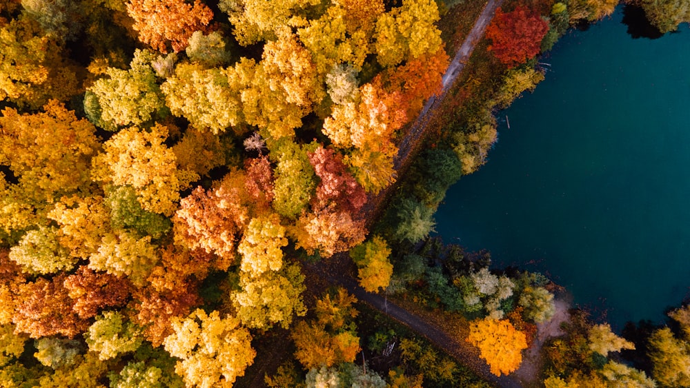 an aerial view of a lake surrounded by trees