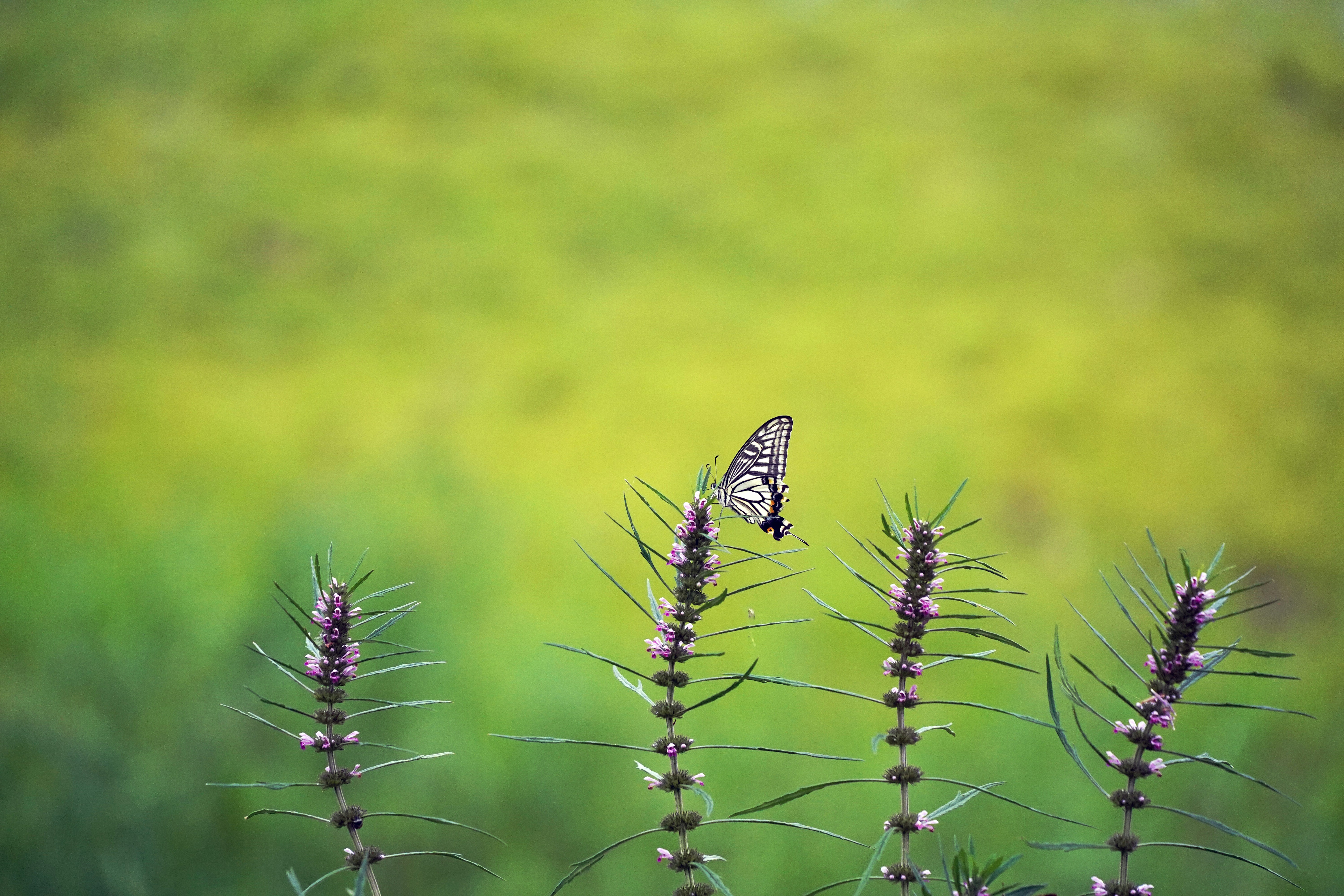 Photo by mygallery