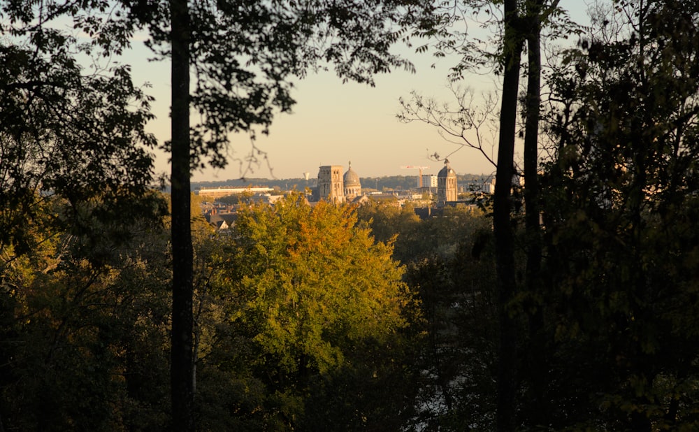 a view of a city through some trees