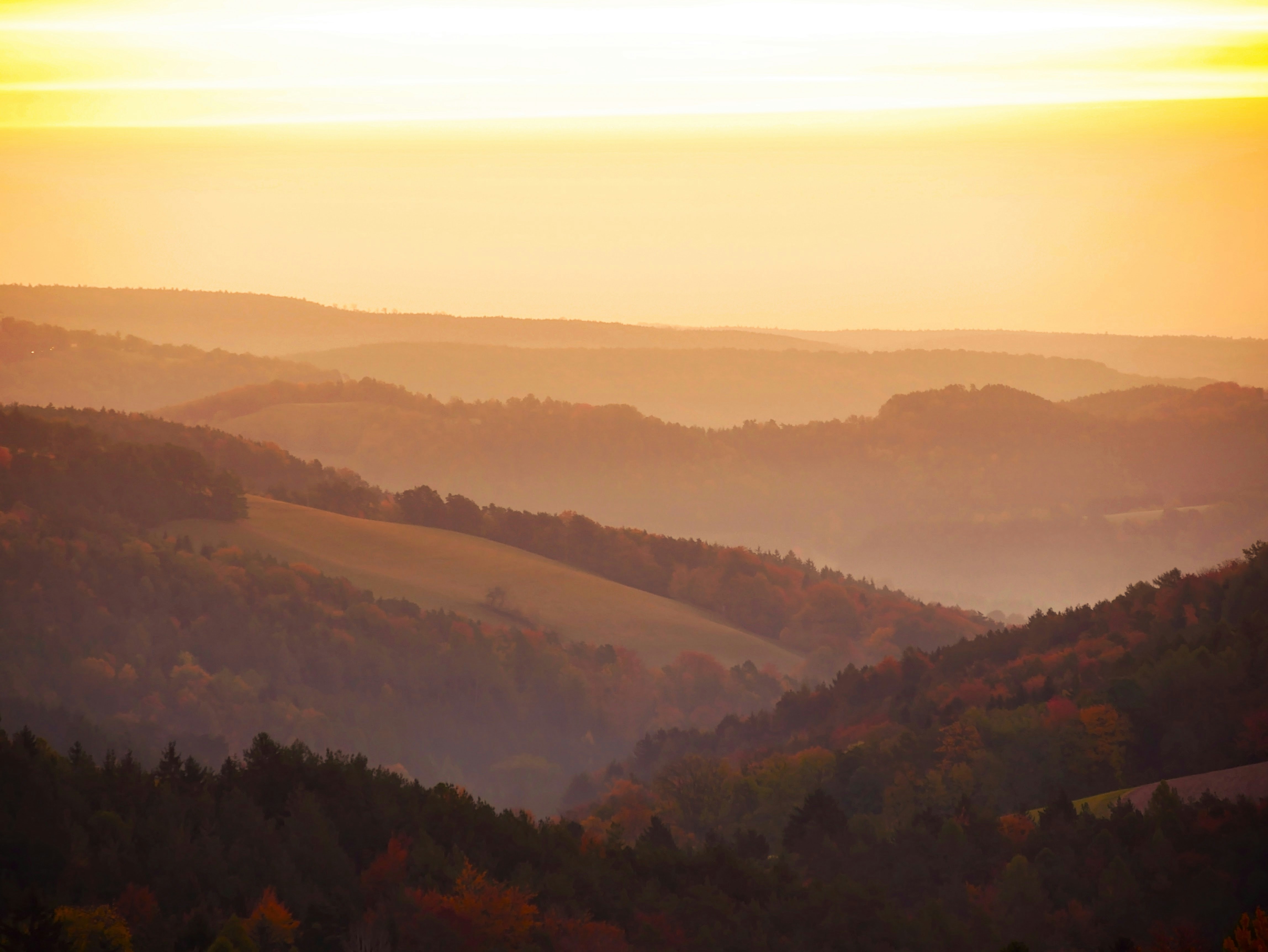 Photo by pino_rumbero