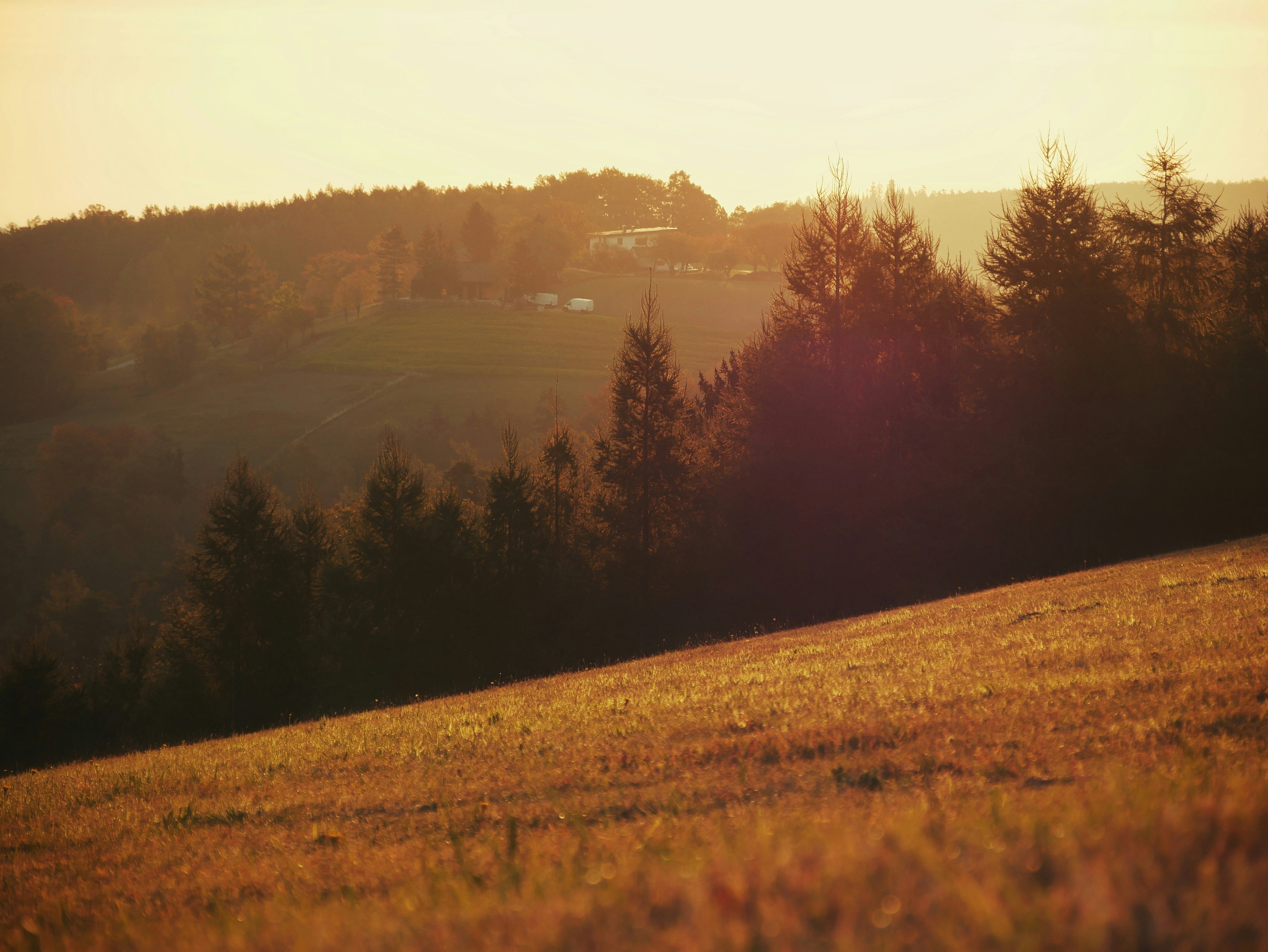 Photo by pino_rumbero