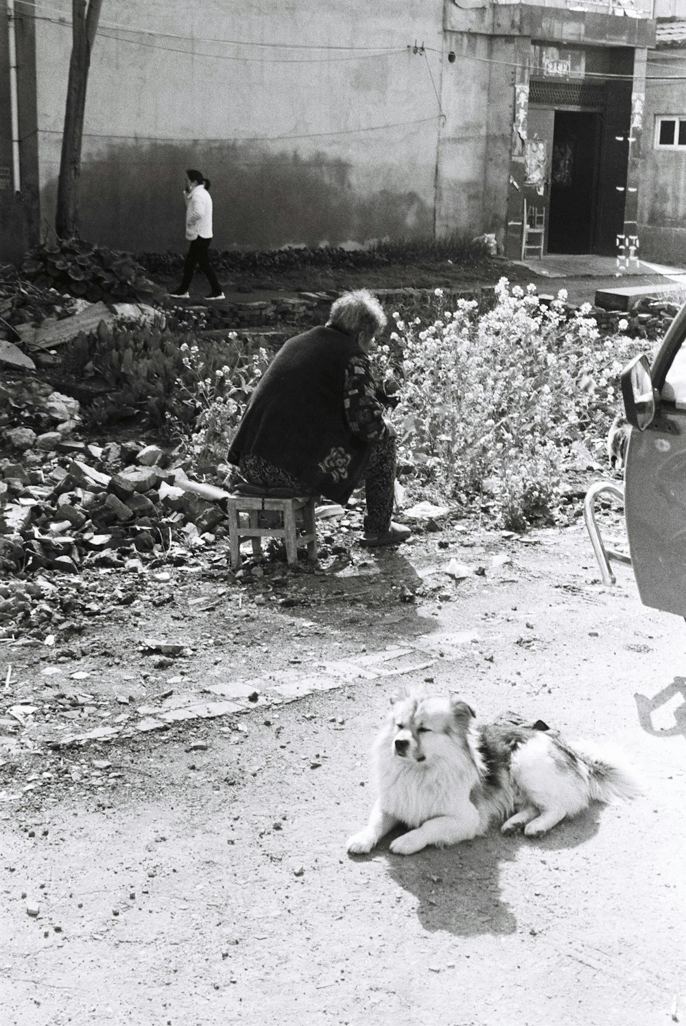 a black and white photo of a dog laying on the ground