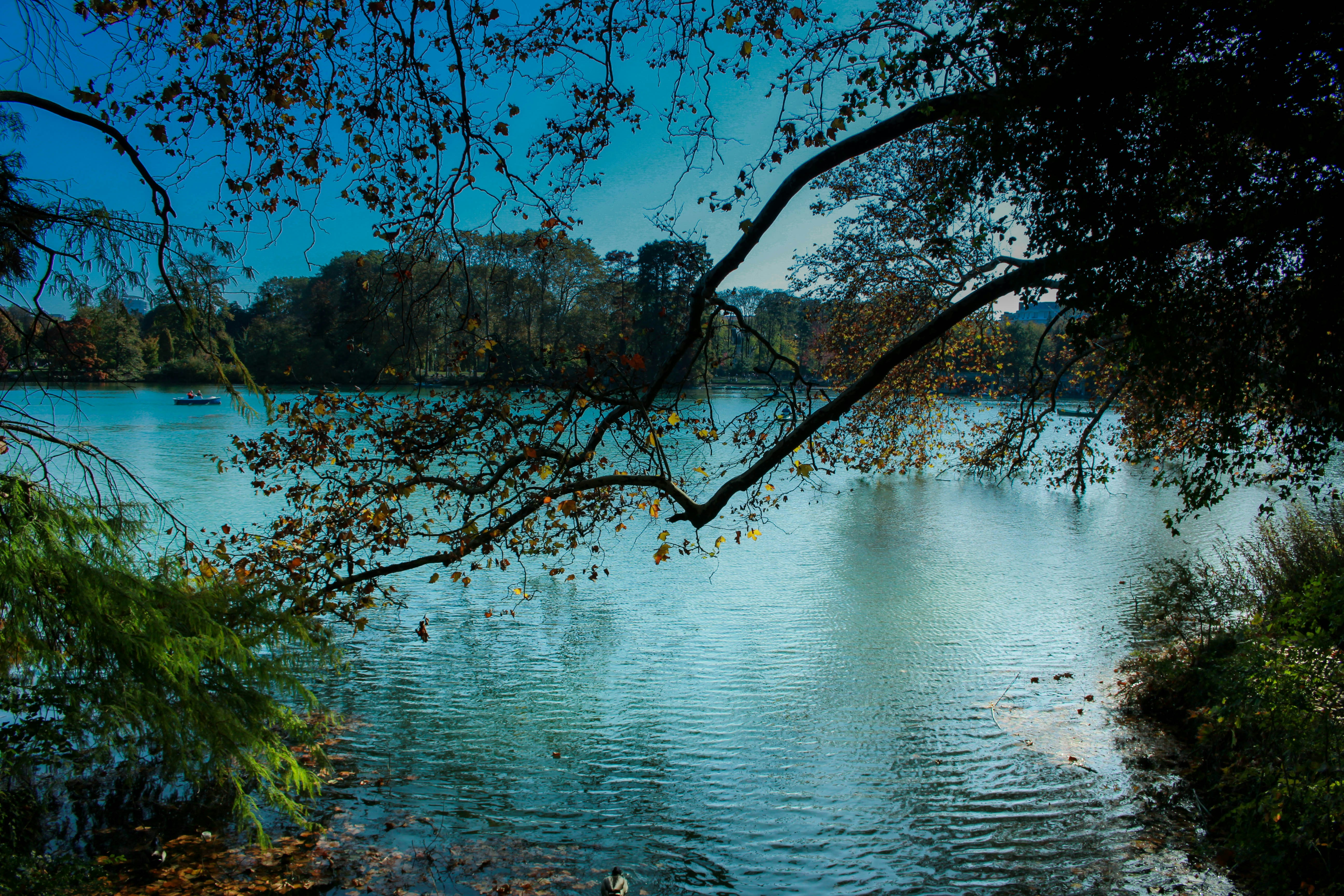 Photo by ecloh_graph