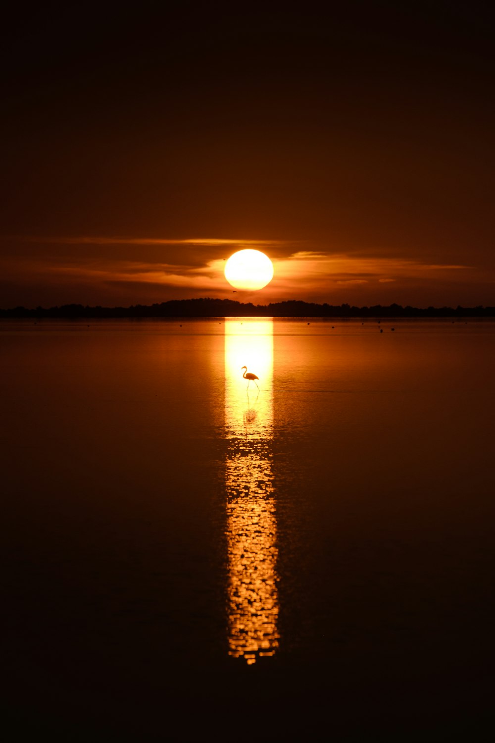 un grand plan d’eau avec un coucher de soleil en arrière-plan