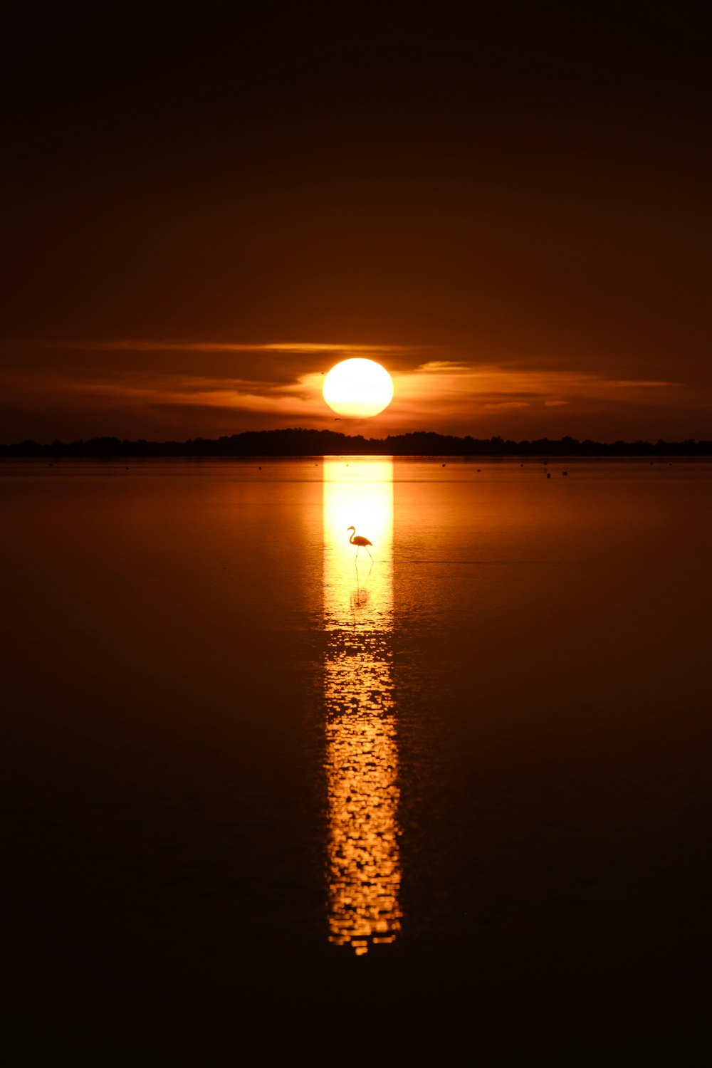 Un grande specchio d'acqua con un tramonto sullo sfondo