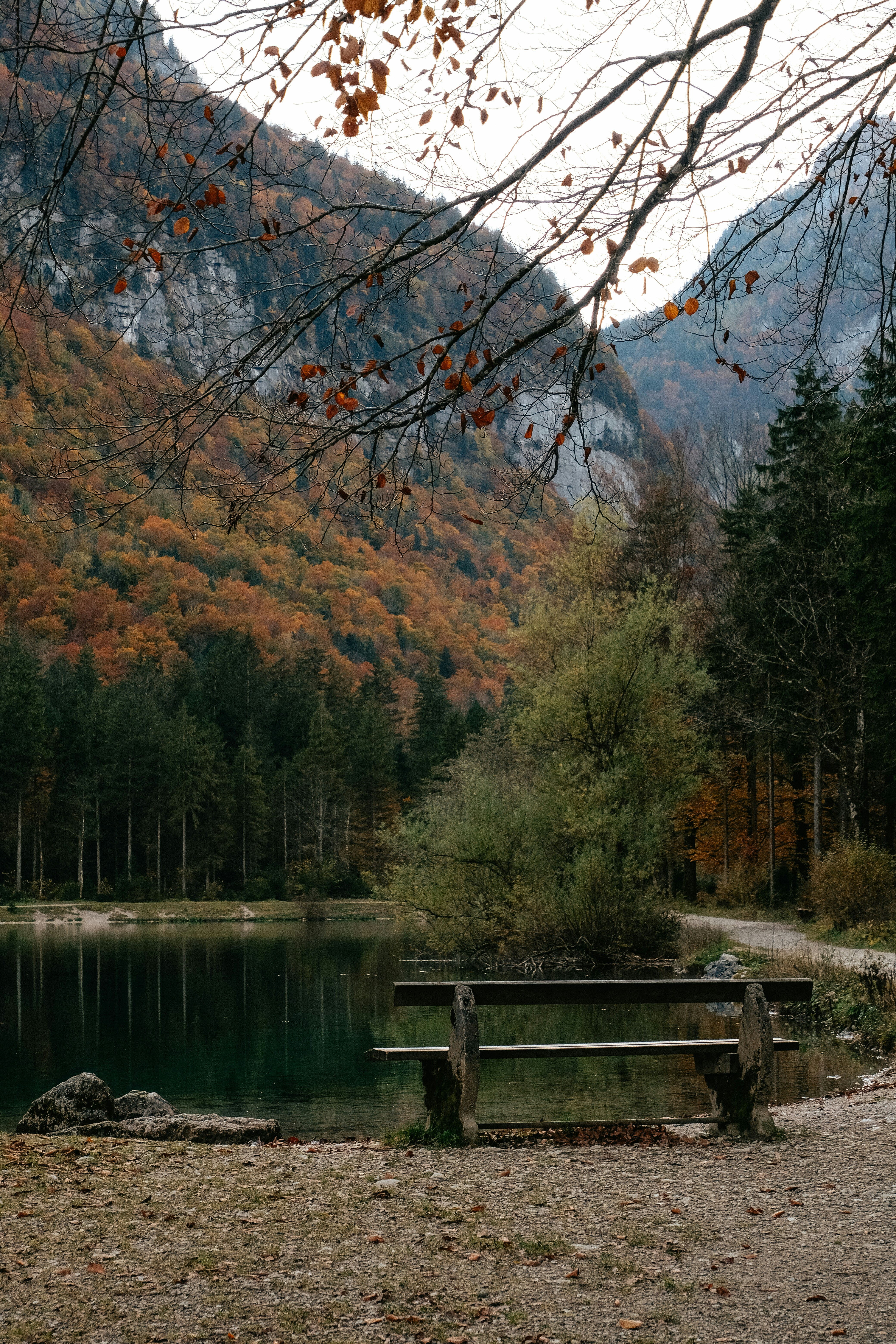 Photo by kmondschein