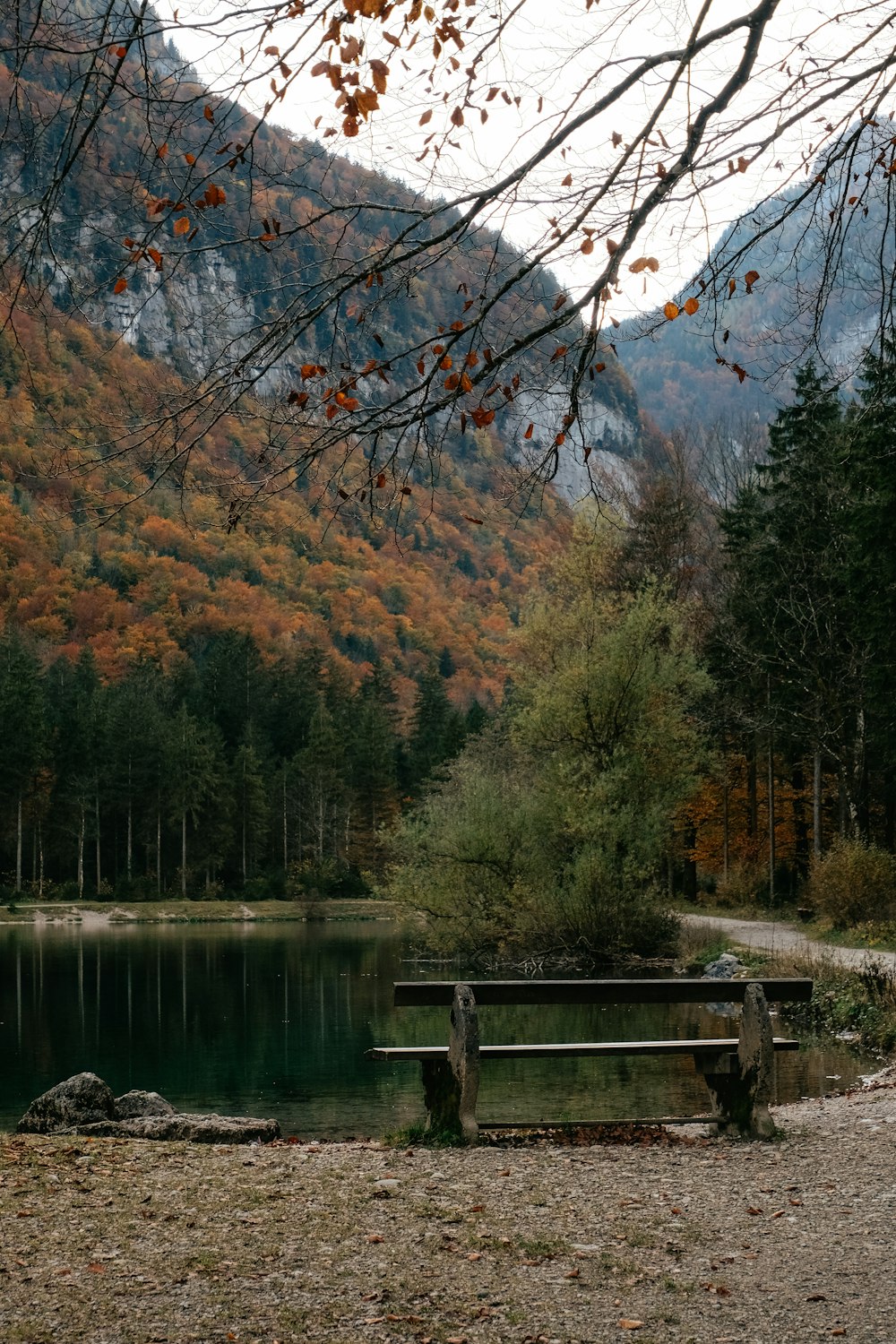 a bench sitting in the middle of a forest next to a lake