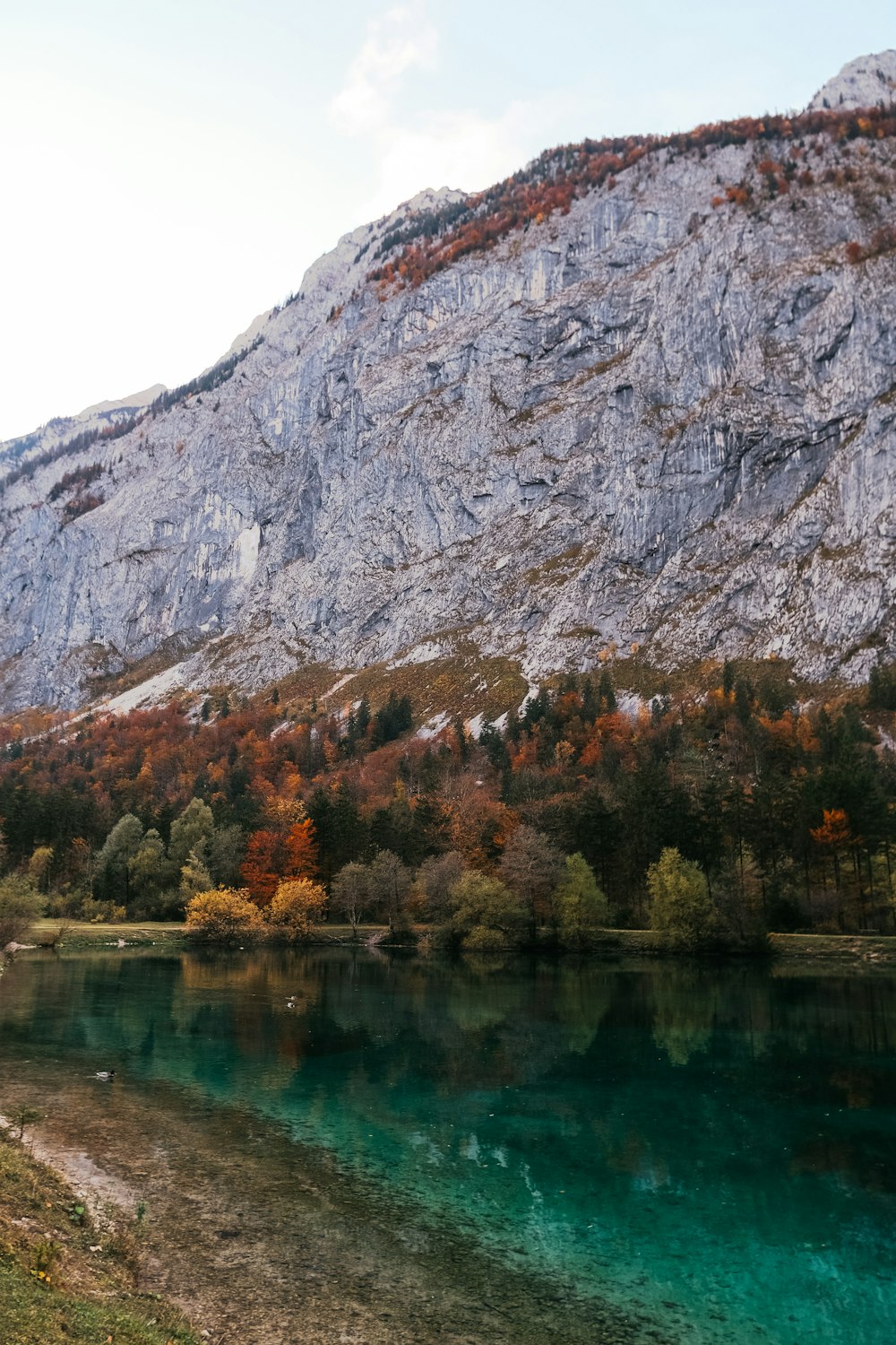 a body of water surrounded by mountains and trees