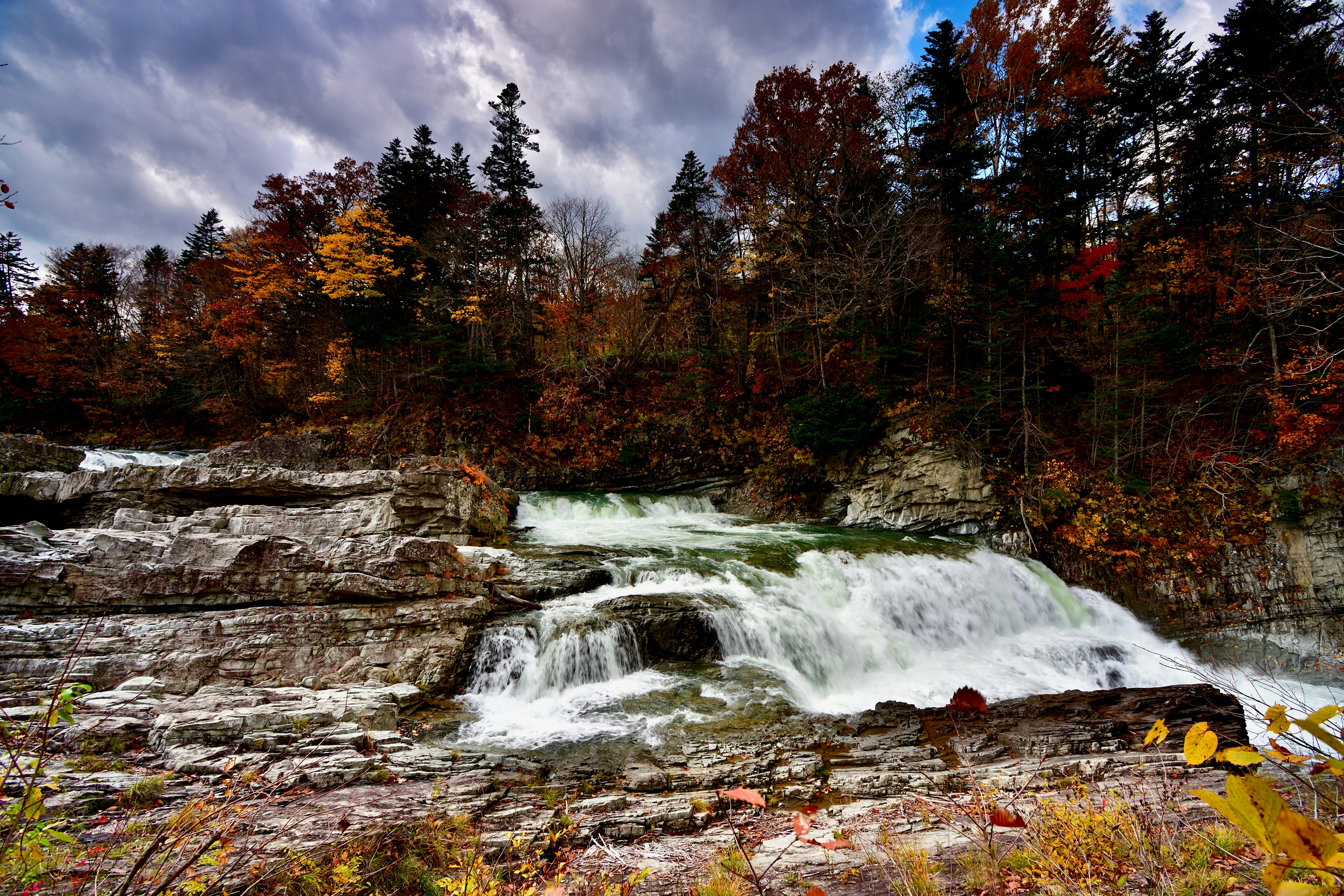 Photo by freezer_nico