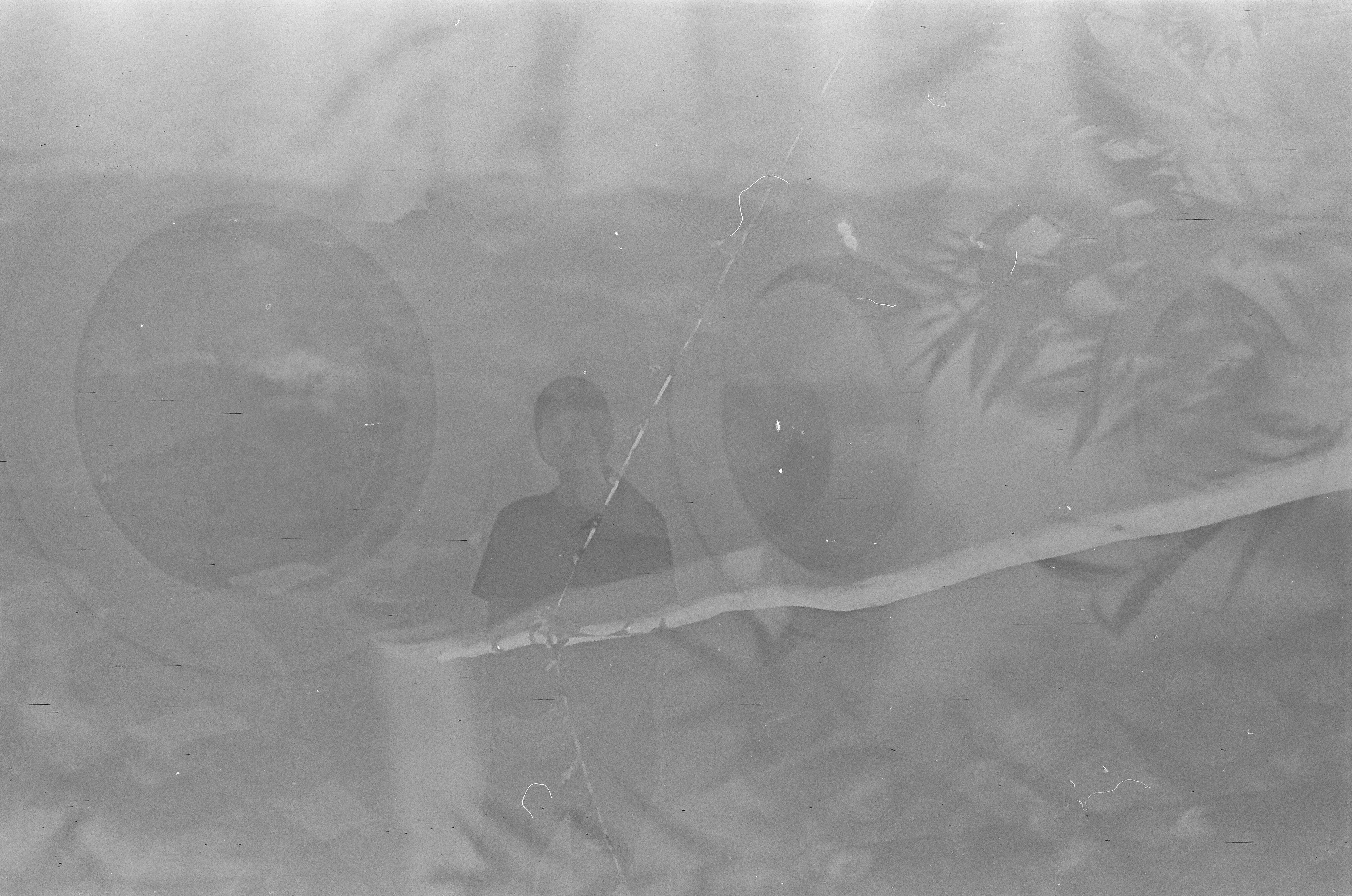a black and white photo of a man sitting on a tree branch