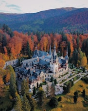 an aerial view of a castle surrounded by trees