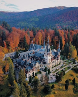 an aerial view of a castle surrounded by trees