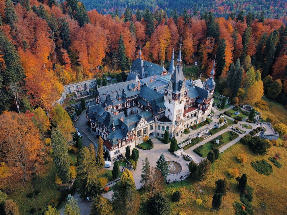 an aerial view of a castle surrounded by trees