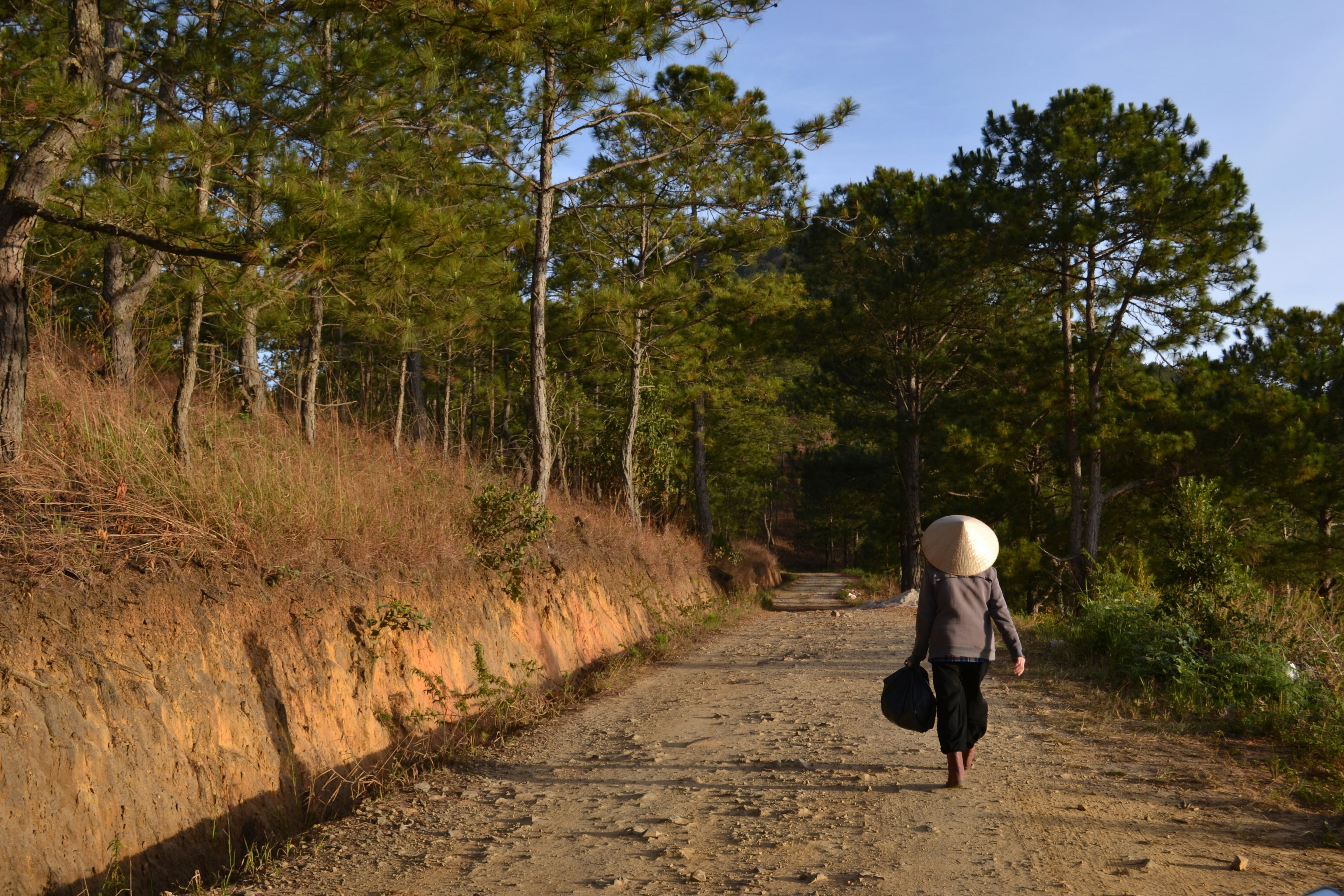 Photo by bchau