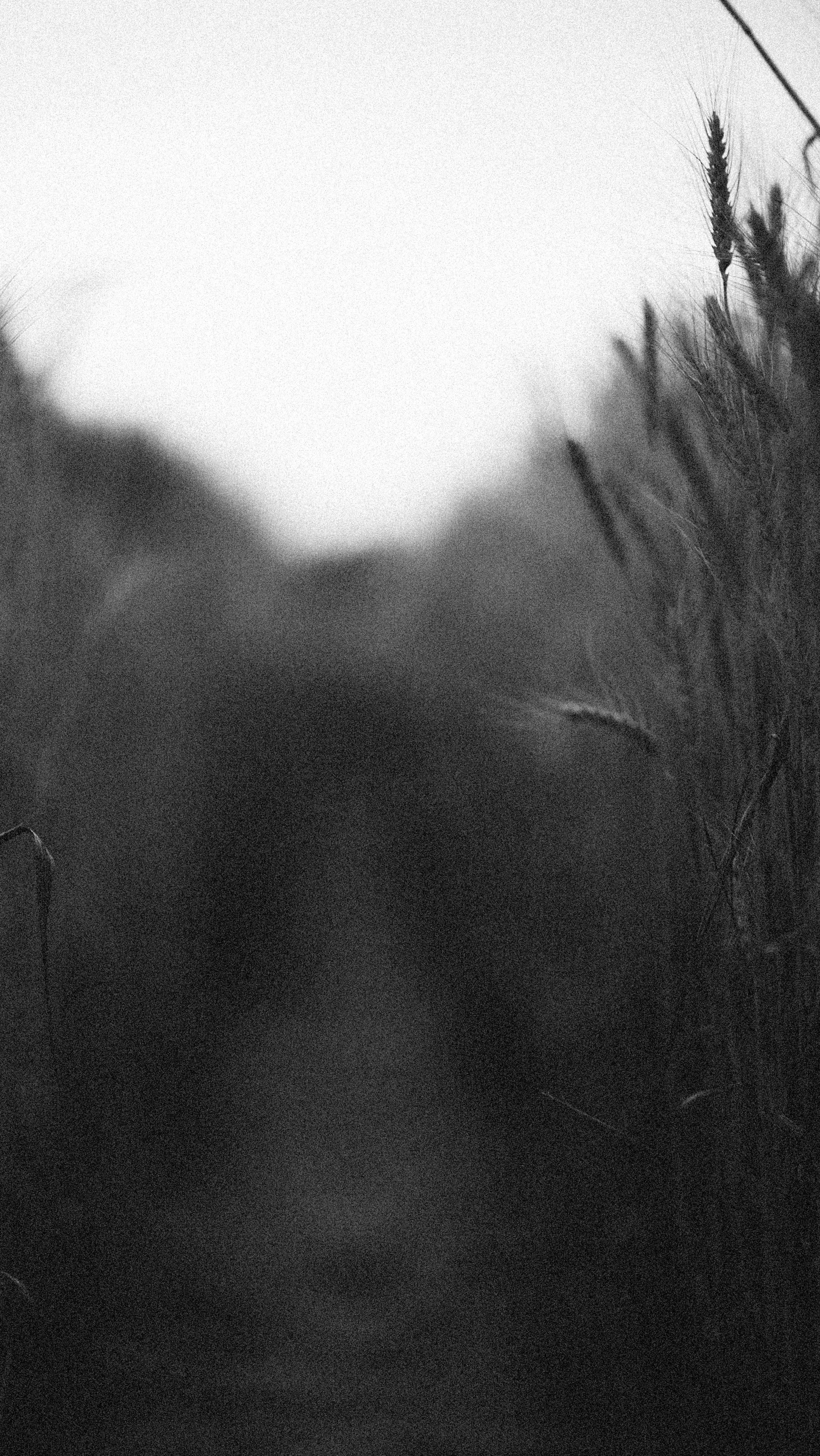 Photo by alexeydemidov