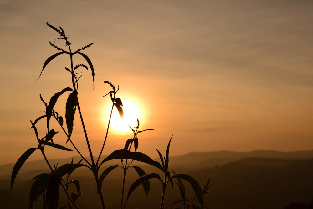 the sun is setting over a mountain range