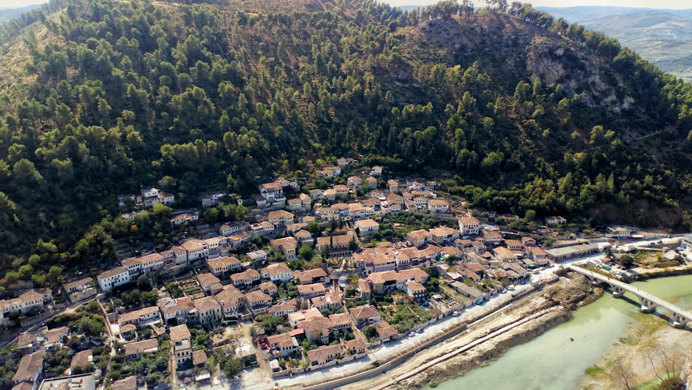 an aerial view of a village surrounded by trees