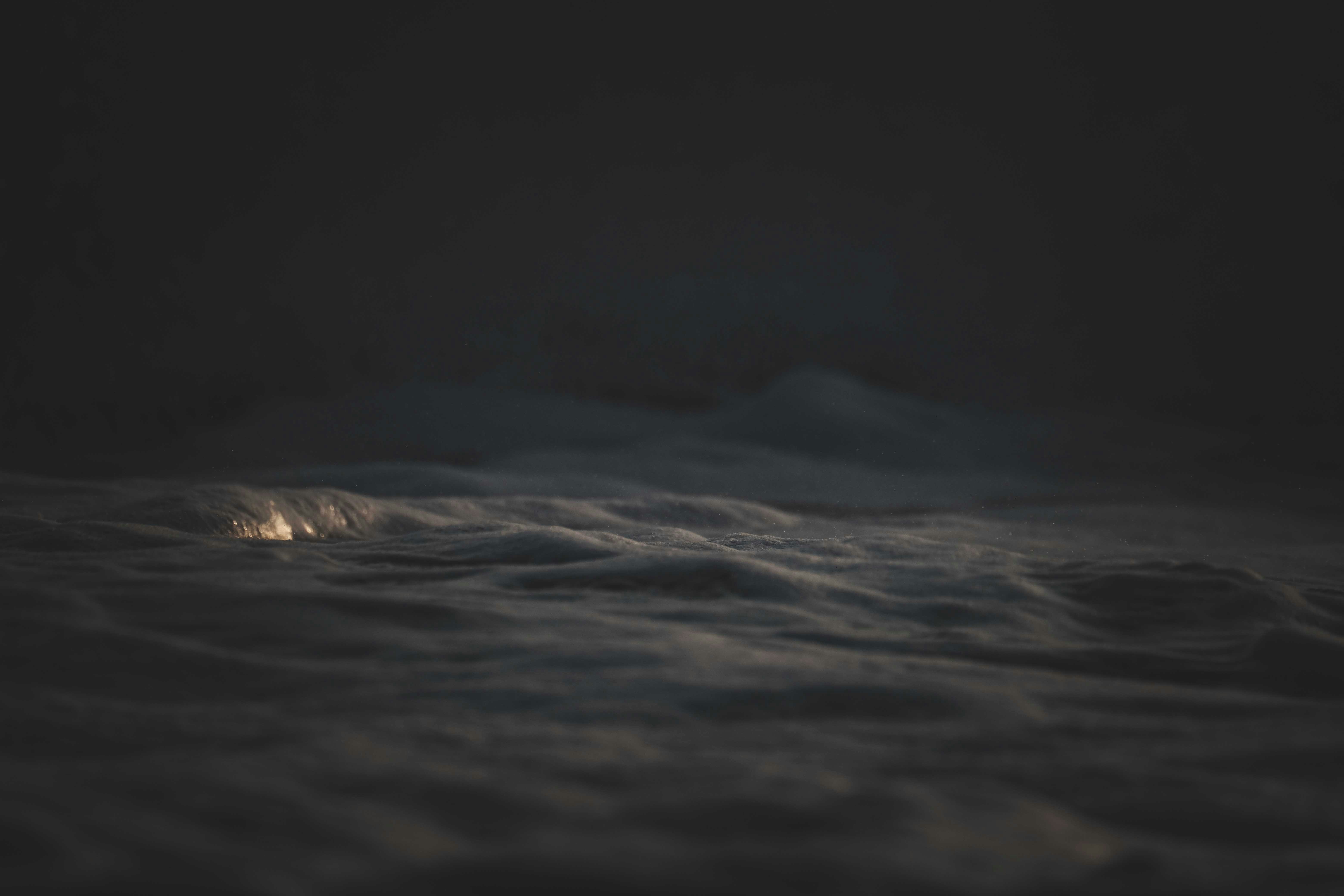 Photo by francesco_ungaro