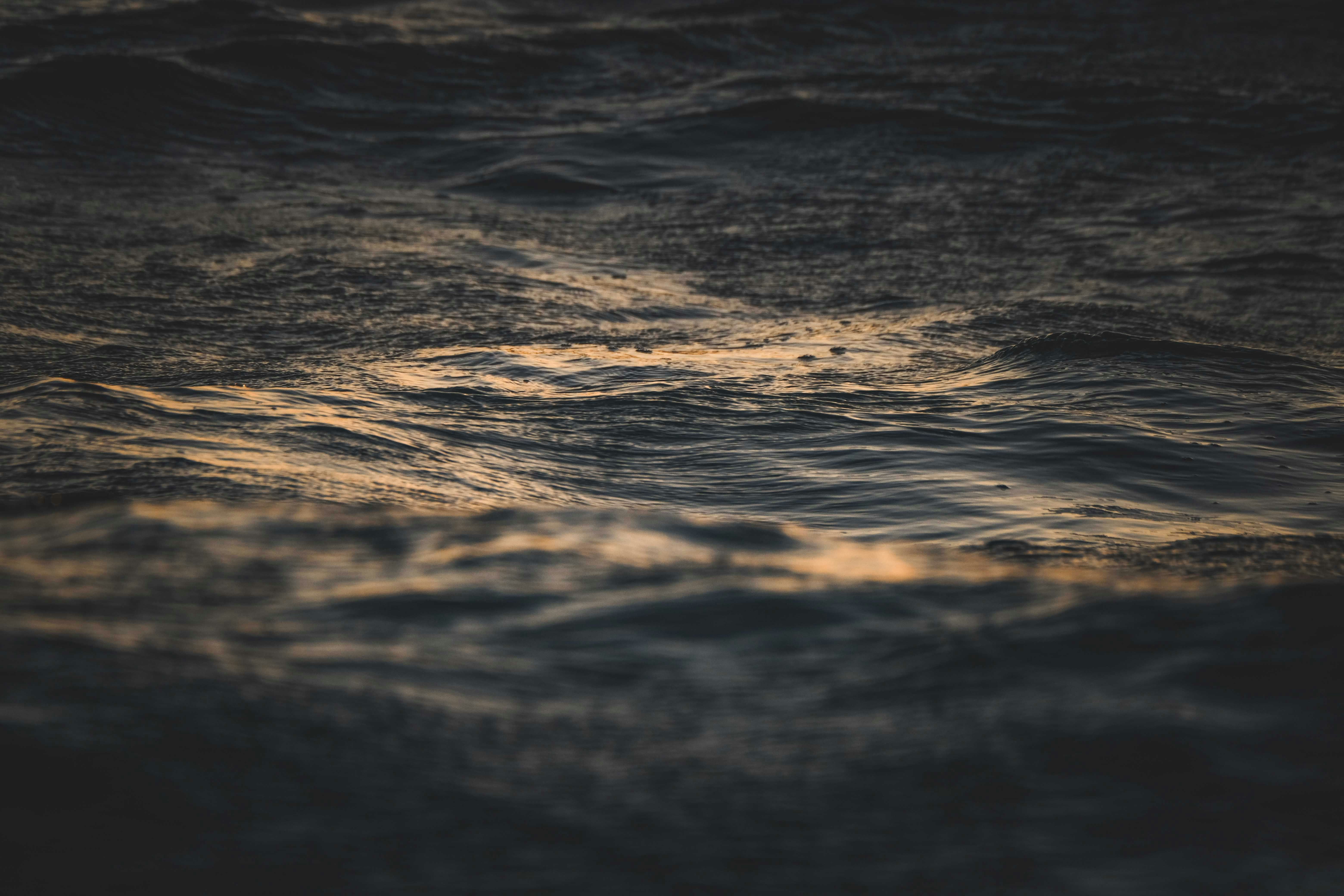 Photo by francesco_ungaro