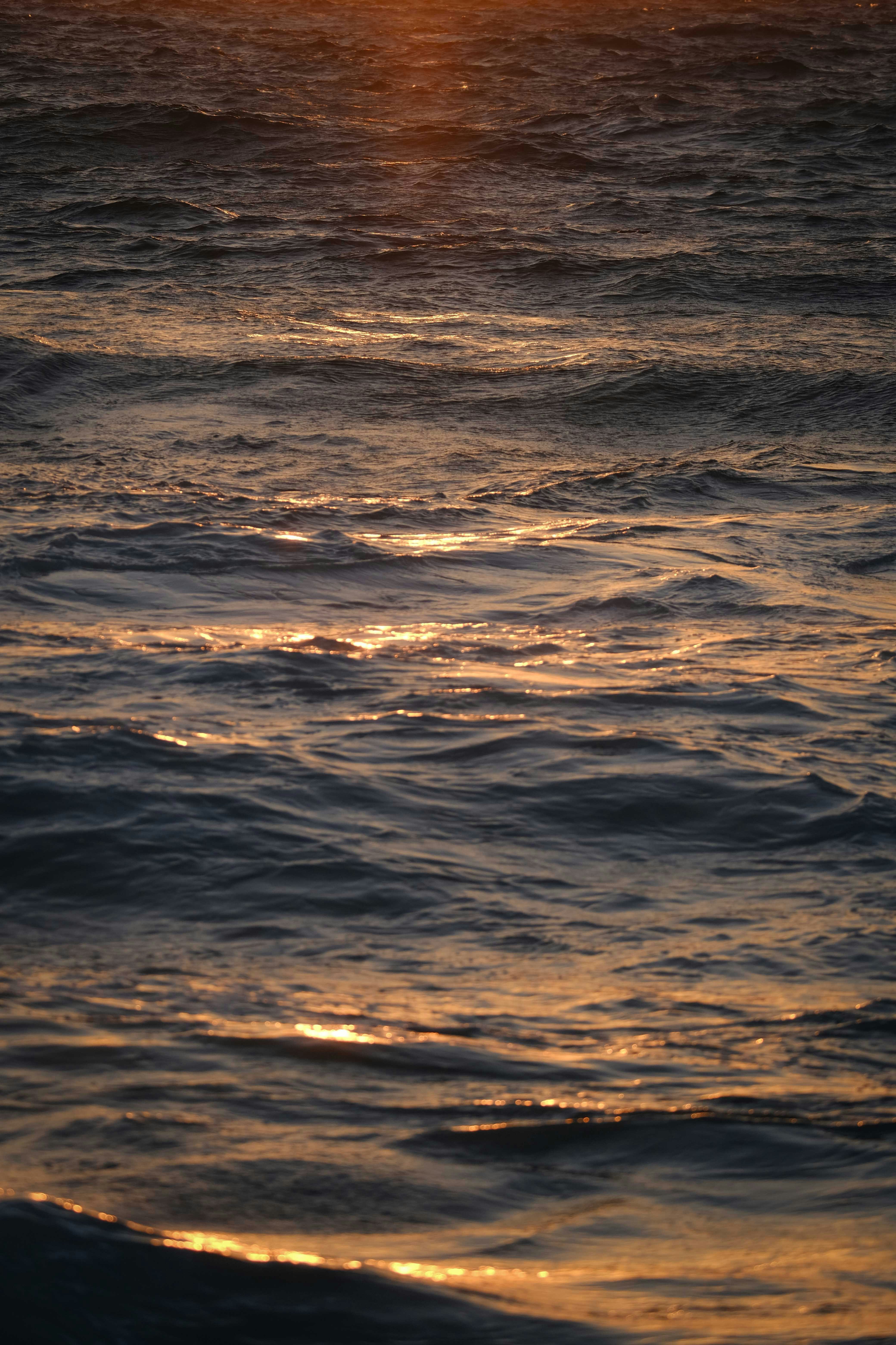 Photo by francesco_ungaro