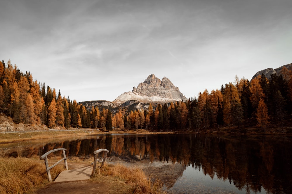 a bench sitting on the side of a lake next to a forest