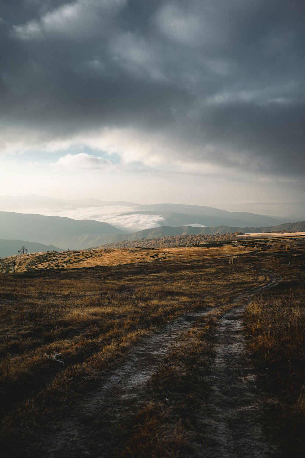 a dirt road going through a field under a cloudy sky