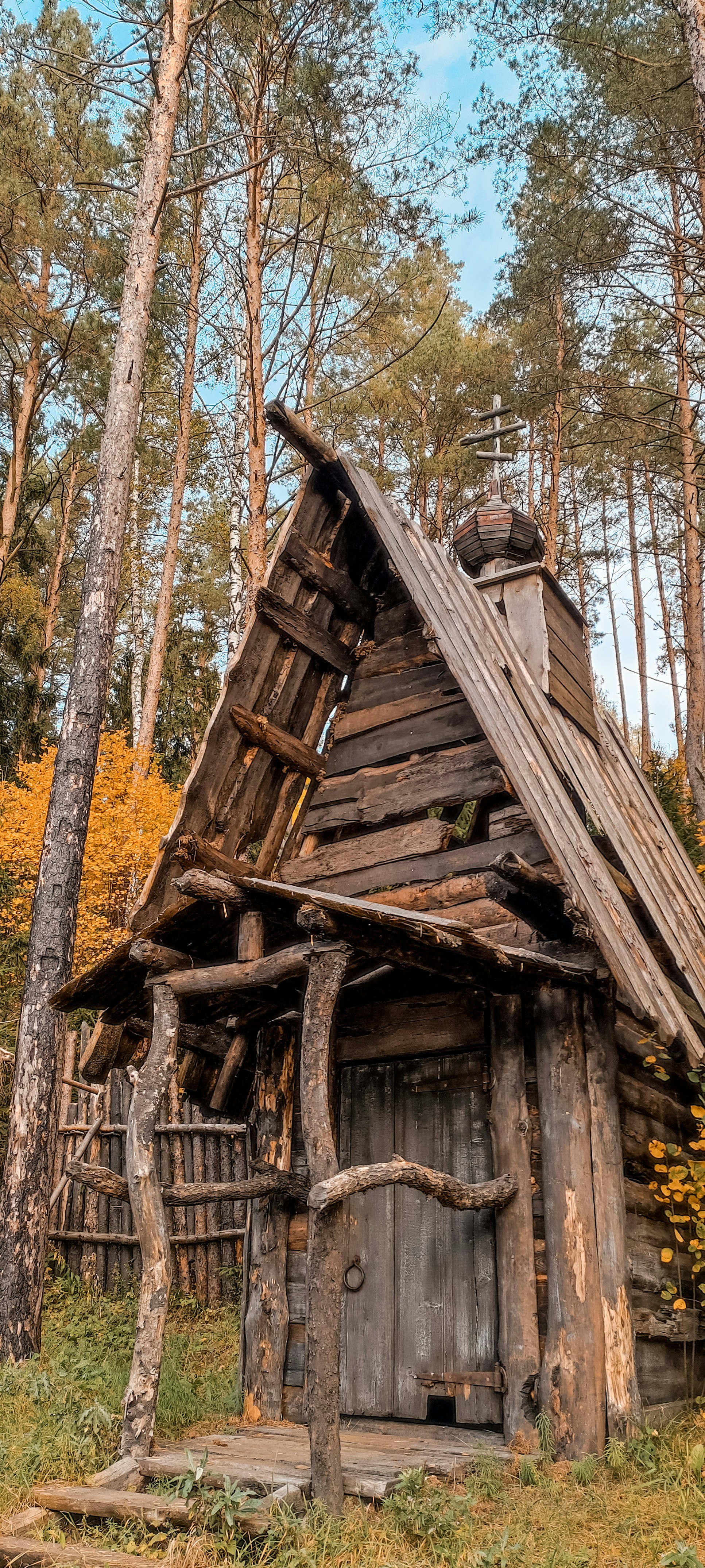 Photo by darya_tryfanava