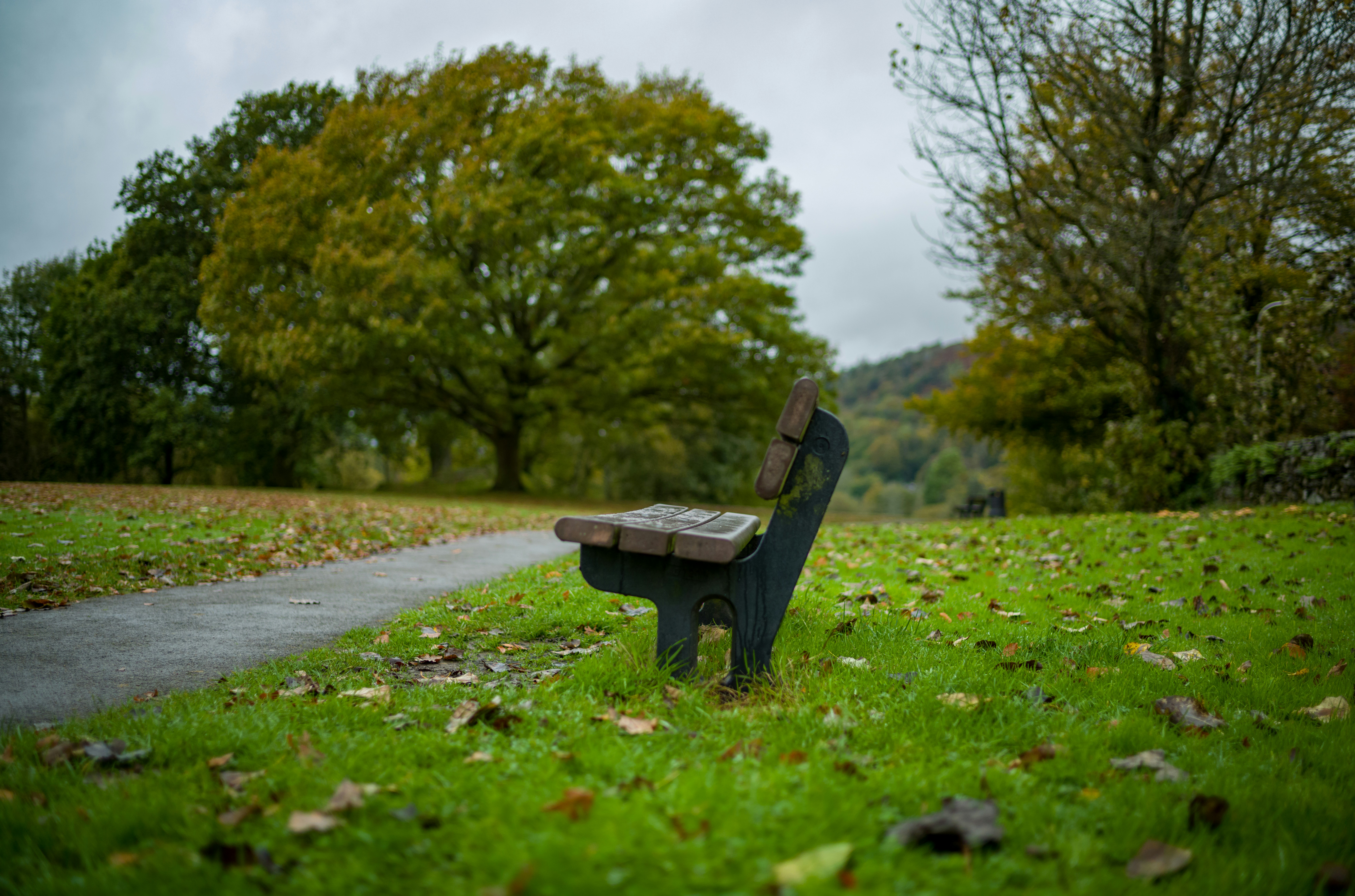 a wooden bench sitting on top of a lush green field