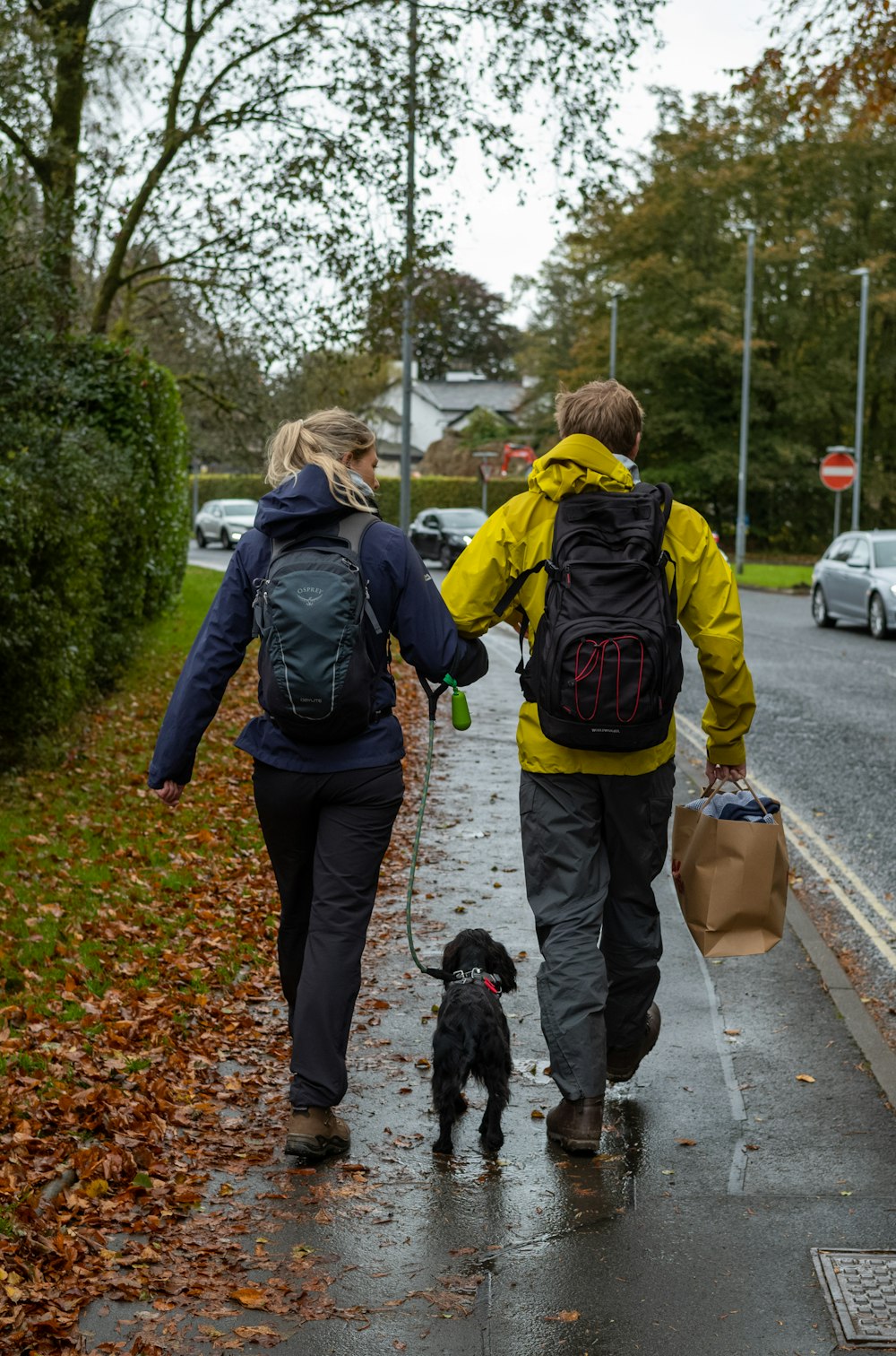 a man and a woman walking a dog down a street