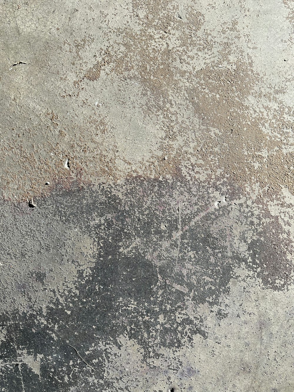 a black and white cat laying on top of a cement floor