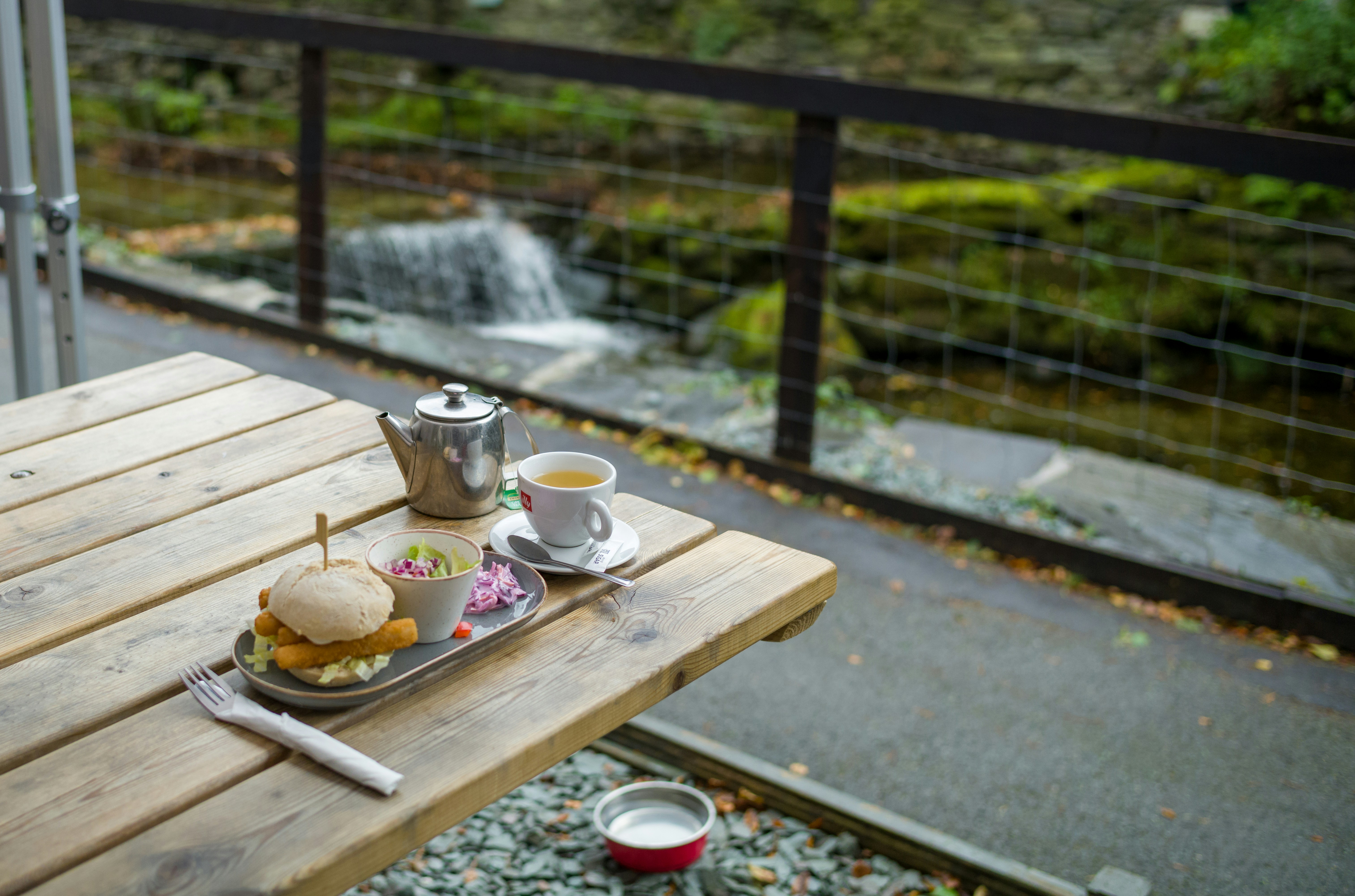 Japanese tea and natural snacks in forest setting