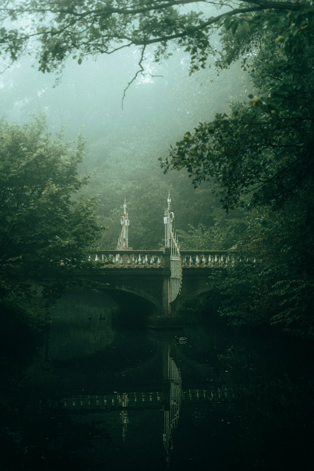 a bridge over a body of water surrounded by trees