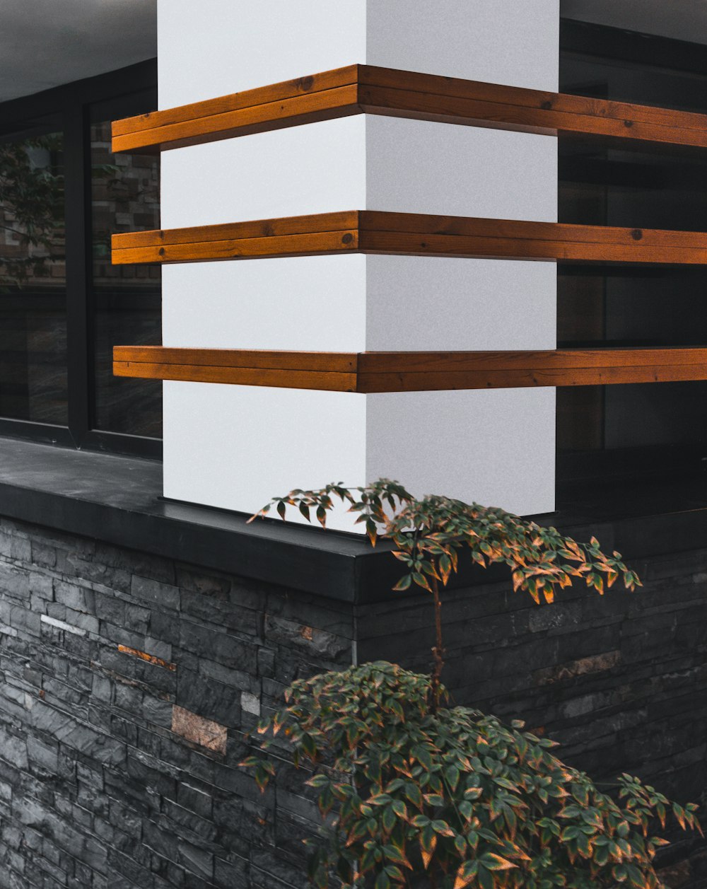 a black and white building with a plant in front of it