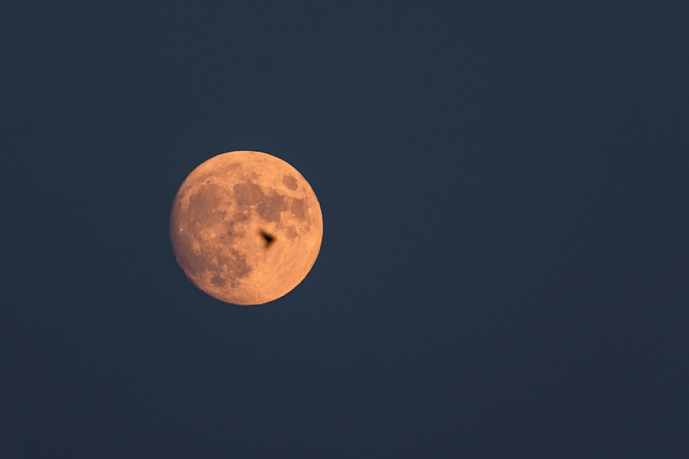 a bird flying in front of a full moon