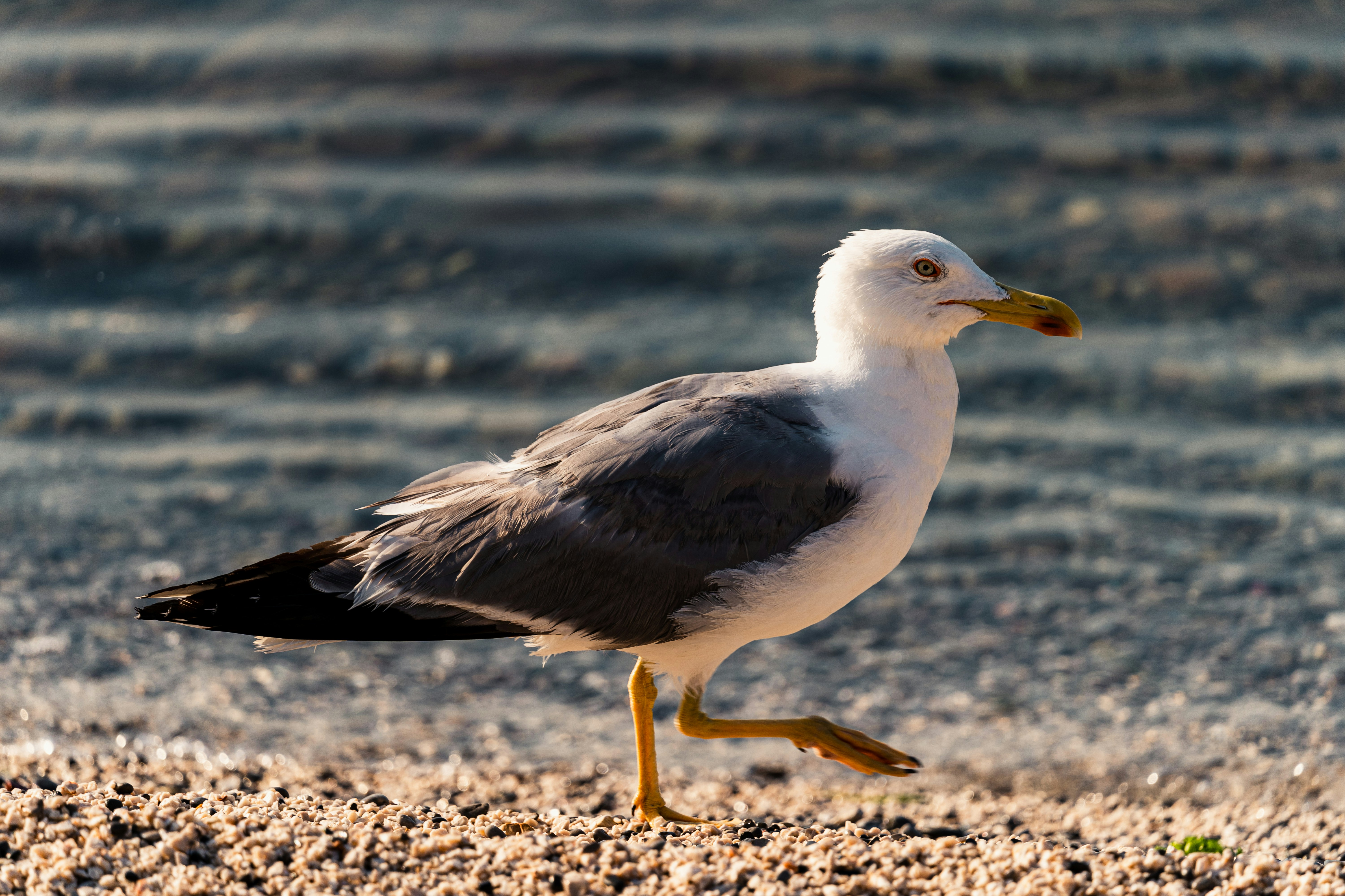 Photo by thestefankostic