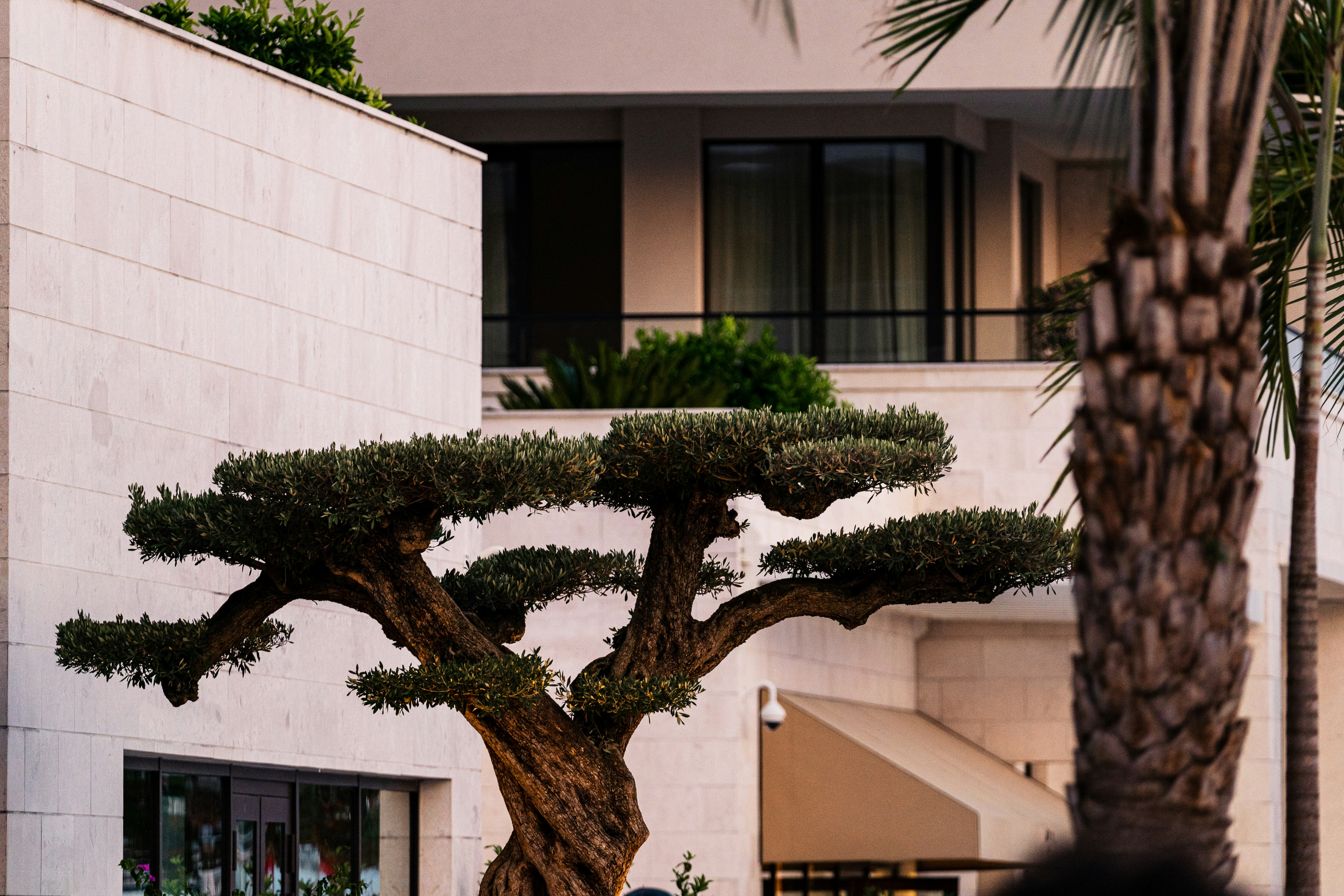 Photo by thestefankostic