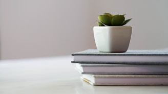 a small potted plant sitting on top of a stack of books