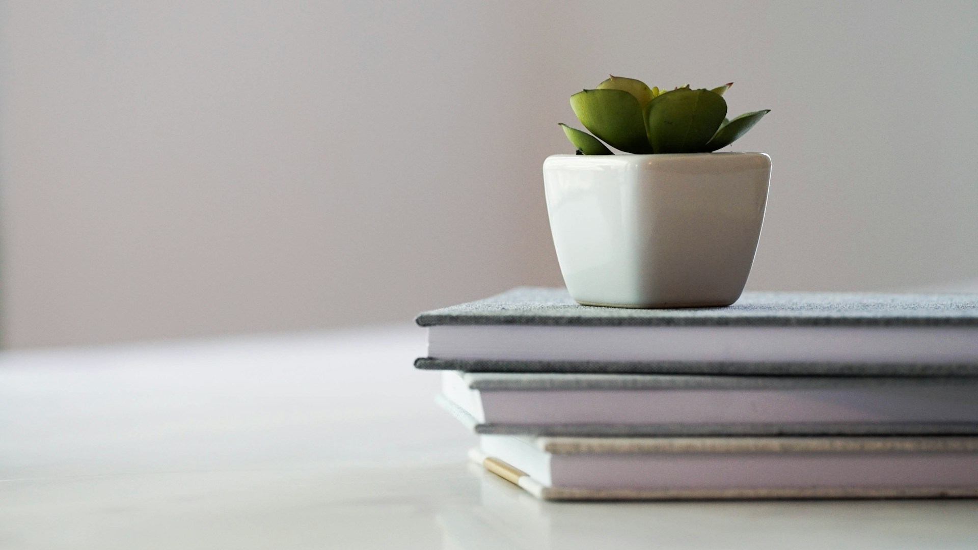 a small potted plant sitting on top of a stack of books